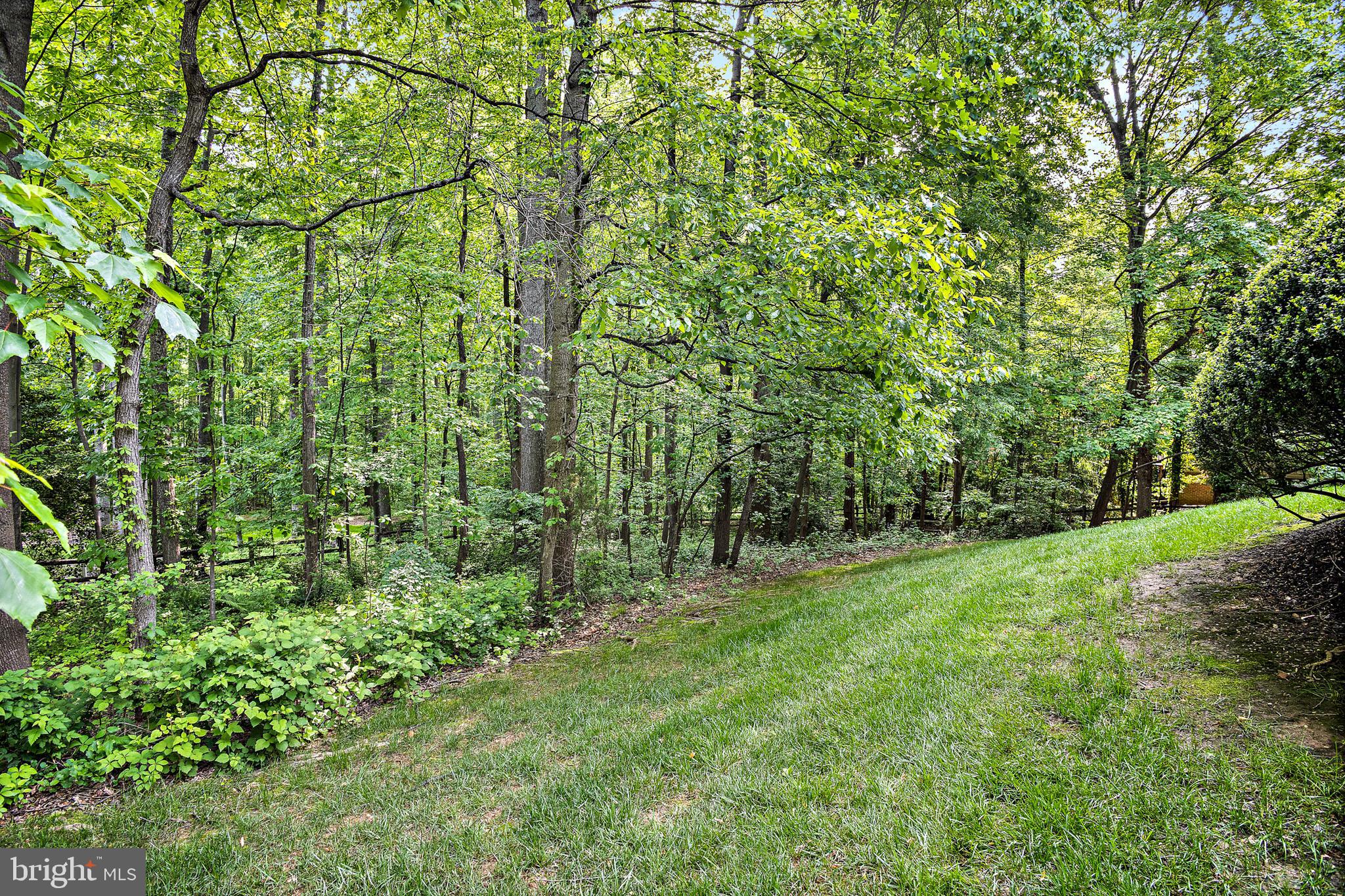 11406 Towering Oak Way Reston, VA 20194 - Photo 51 of 53 Backyard