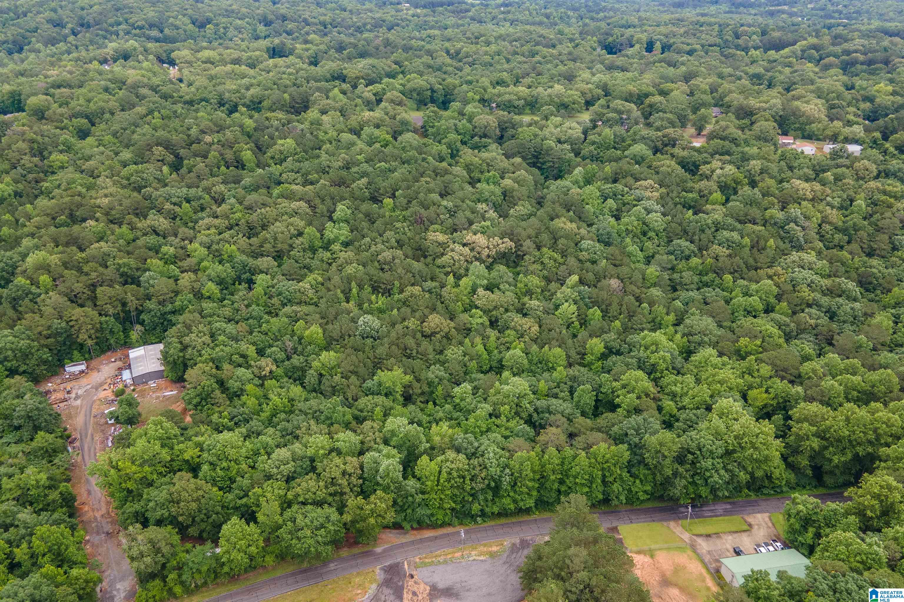 37 Forest Lane Warrior, AL 35180 - Photo 8 of 10