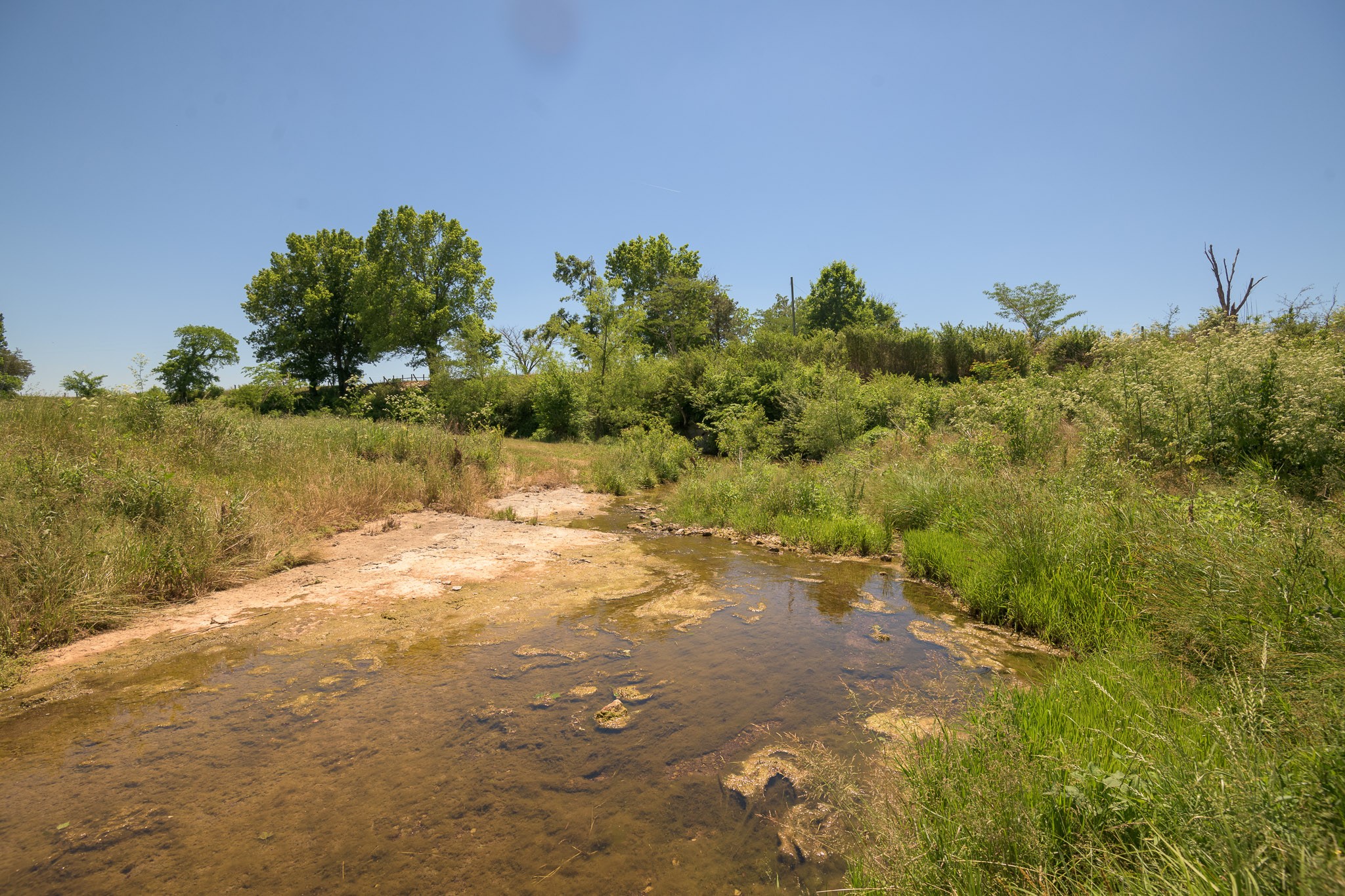 286 Fosterville Road Bell Buckle, TN 37020 - Photo 32 of 44 Gallery Image 32