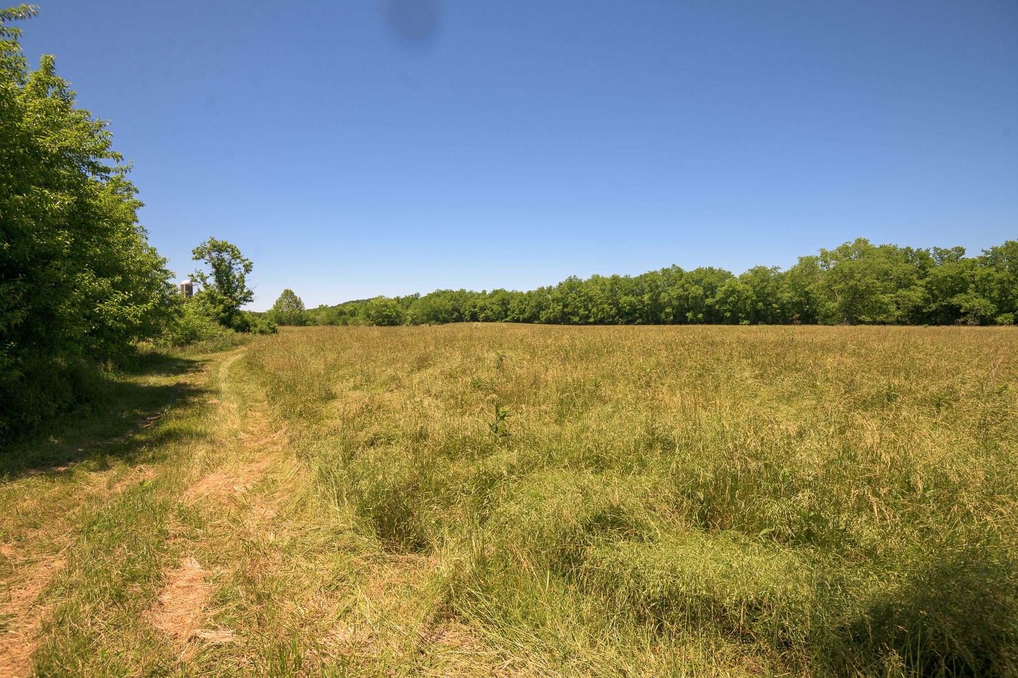 286 Fosterville Road Bell Buckle, TN 37020 - Photo 33 of 44 Gallery Image 33
