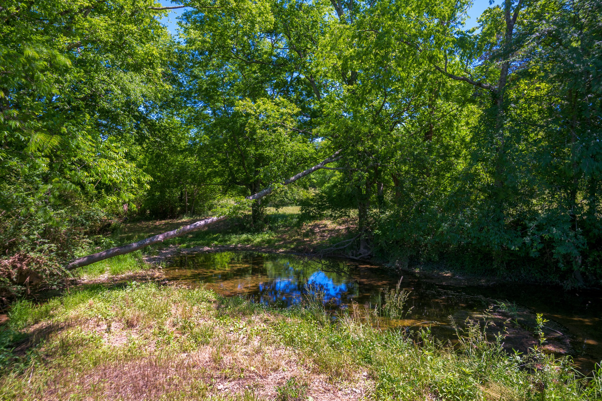 286 Fosterville Road Bell Buckle, TN 37020 - Photo 36 of 44 Gallery Image 36