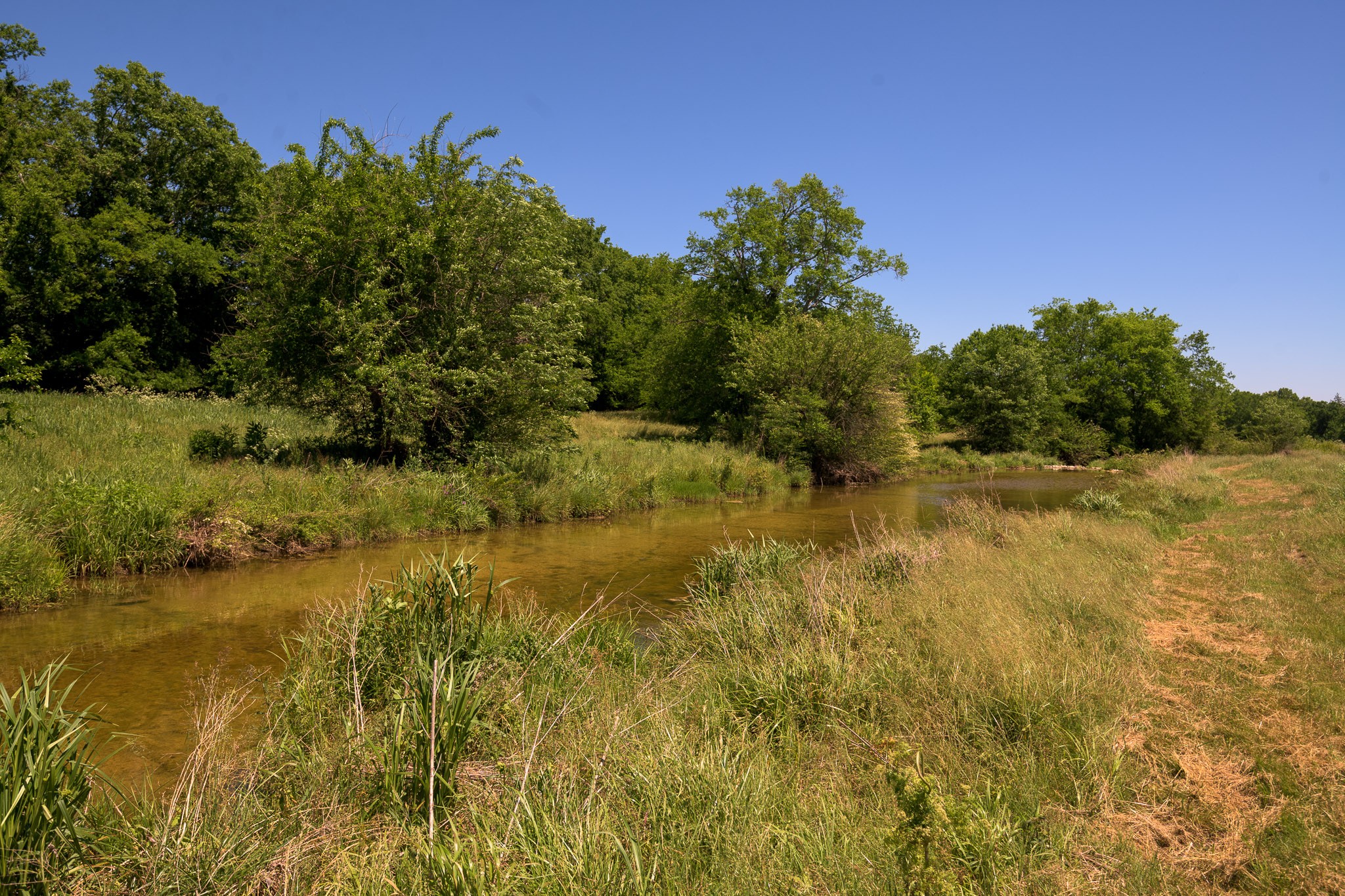 286 Fosterville Road Bell Buckle, TN 37020 - Photo 41 of 44 Gallery Image 41