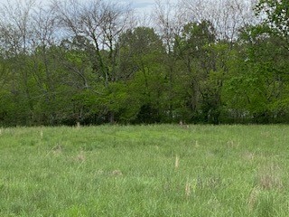 286 Fosterville Road Bell Buckle, TN 37020 - Photo 9 of 44 Gallery Image 9