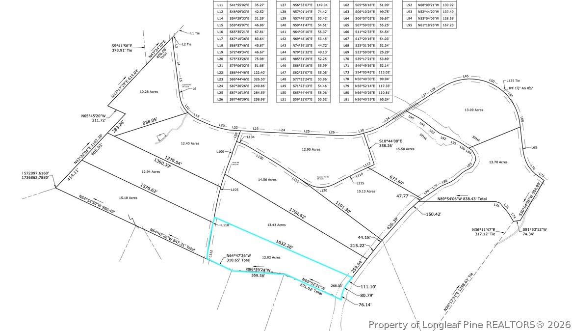 Lot 5 Capelsie Road Candor, NC 27229 - Photo 12 of 12 Gallery Image 12