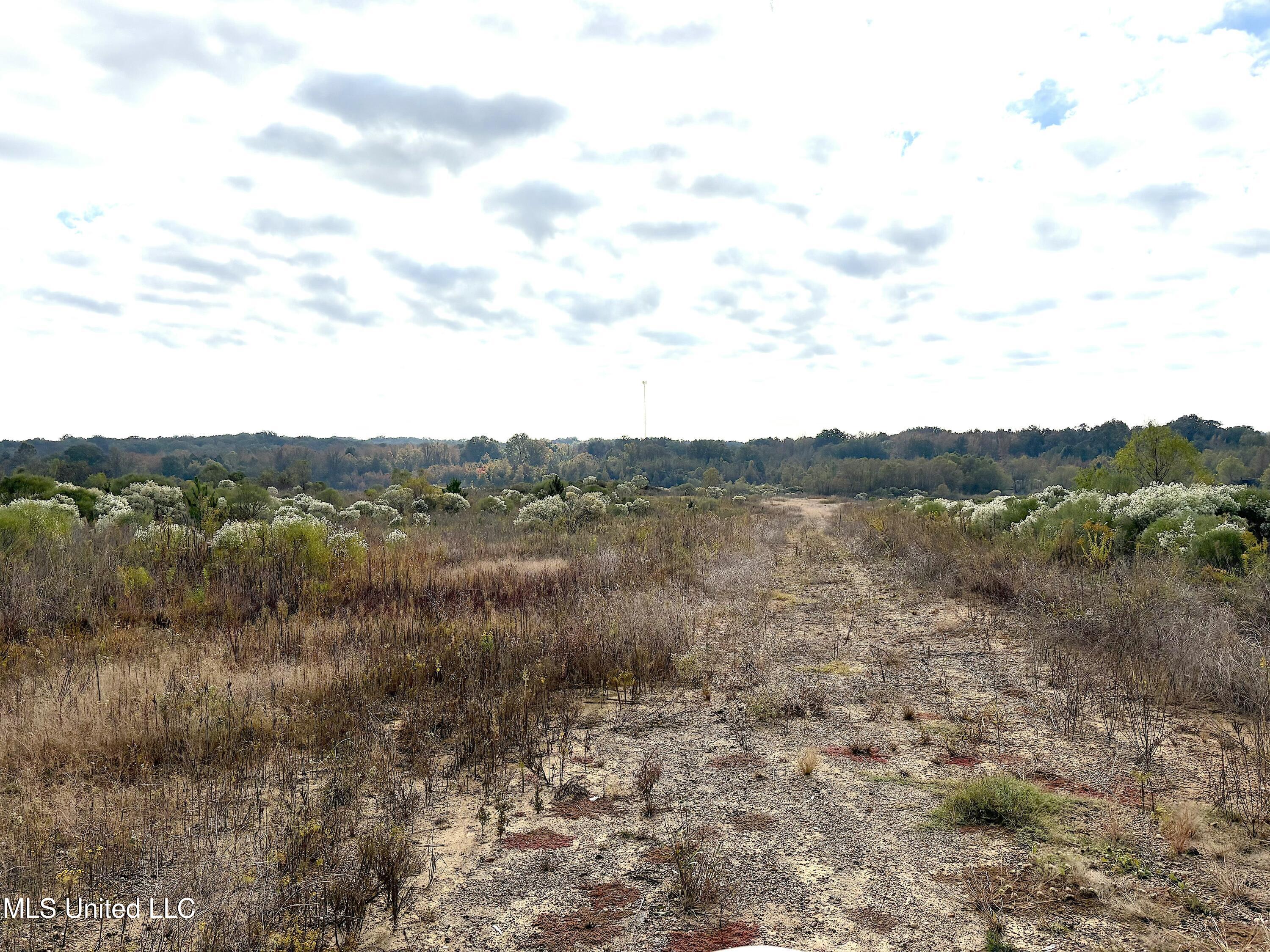 49 Us Jackson, MS 39209 - Photo 11 of 42 IMG_0545