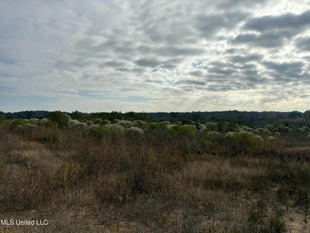 $1,600,000 | 49 Us, Jackson, MS 39209