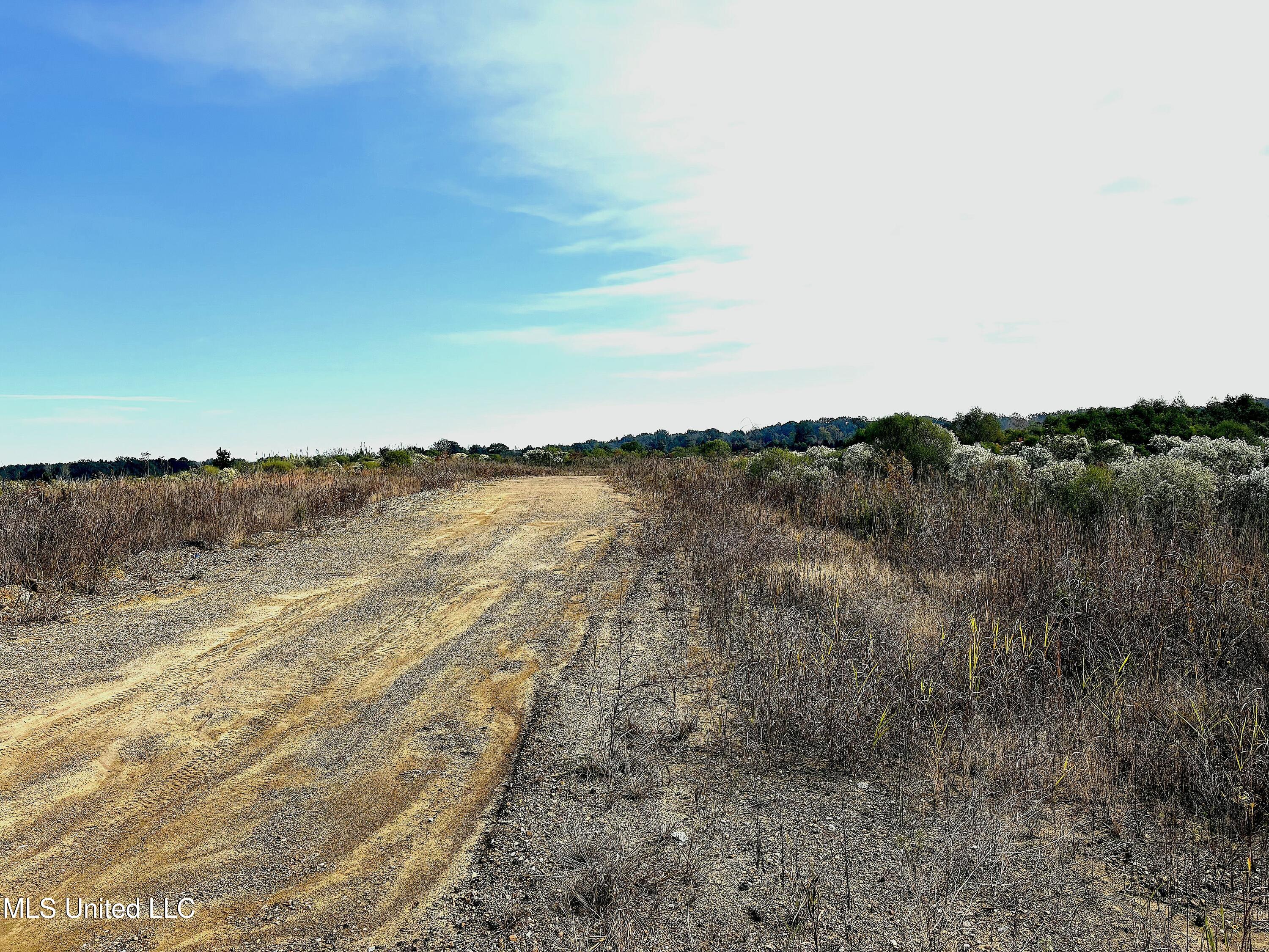 49 Us Jackson, MS 39209 - Photo 13 of 42 IMG_0547