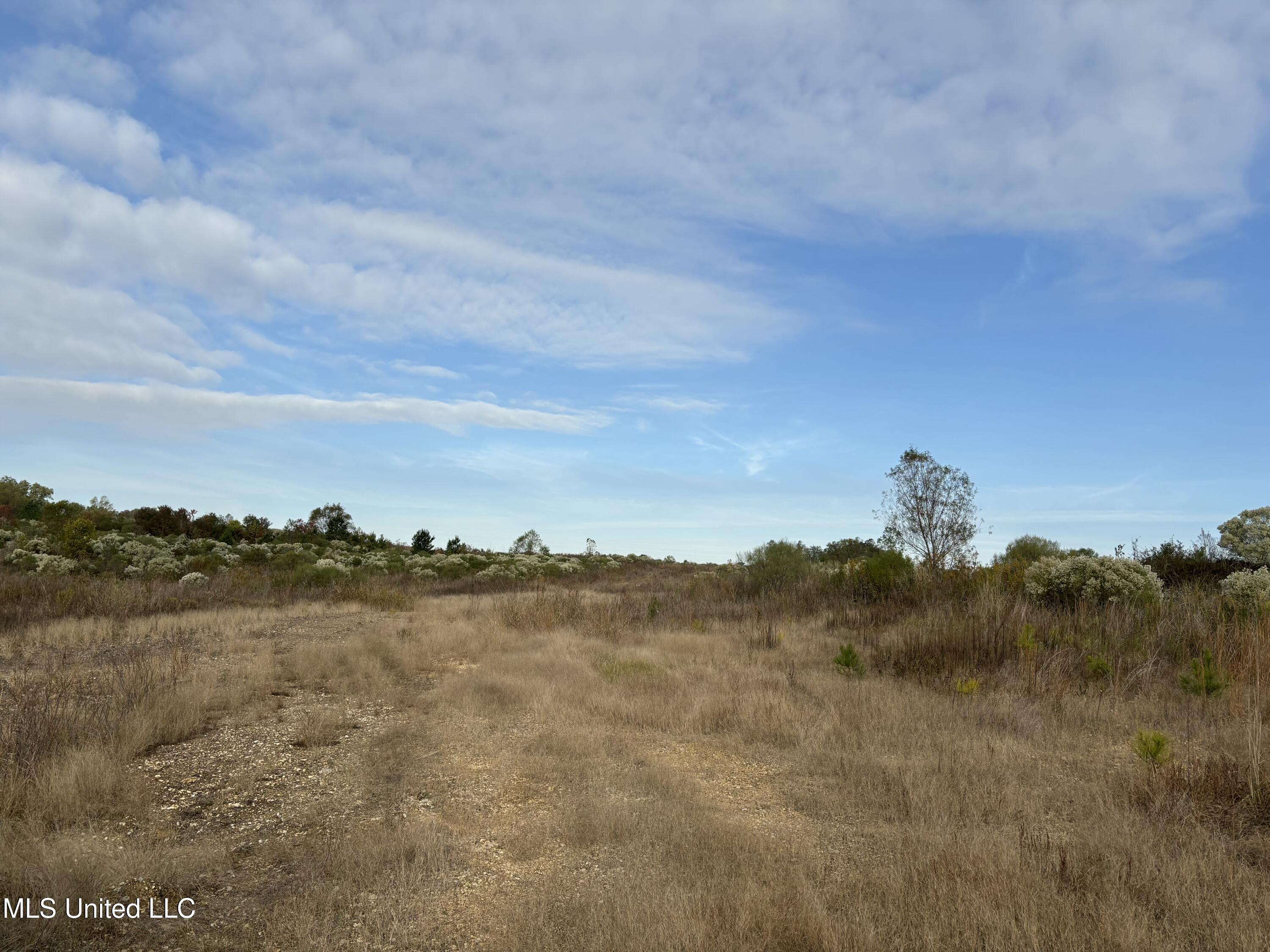 49 Us Jackson, MS 39209 - Photo 16 of 42 IMG_0550