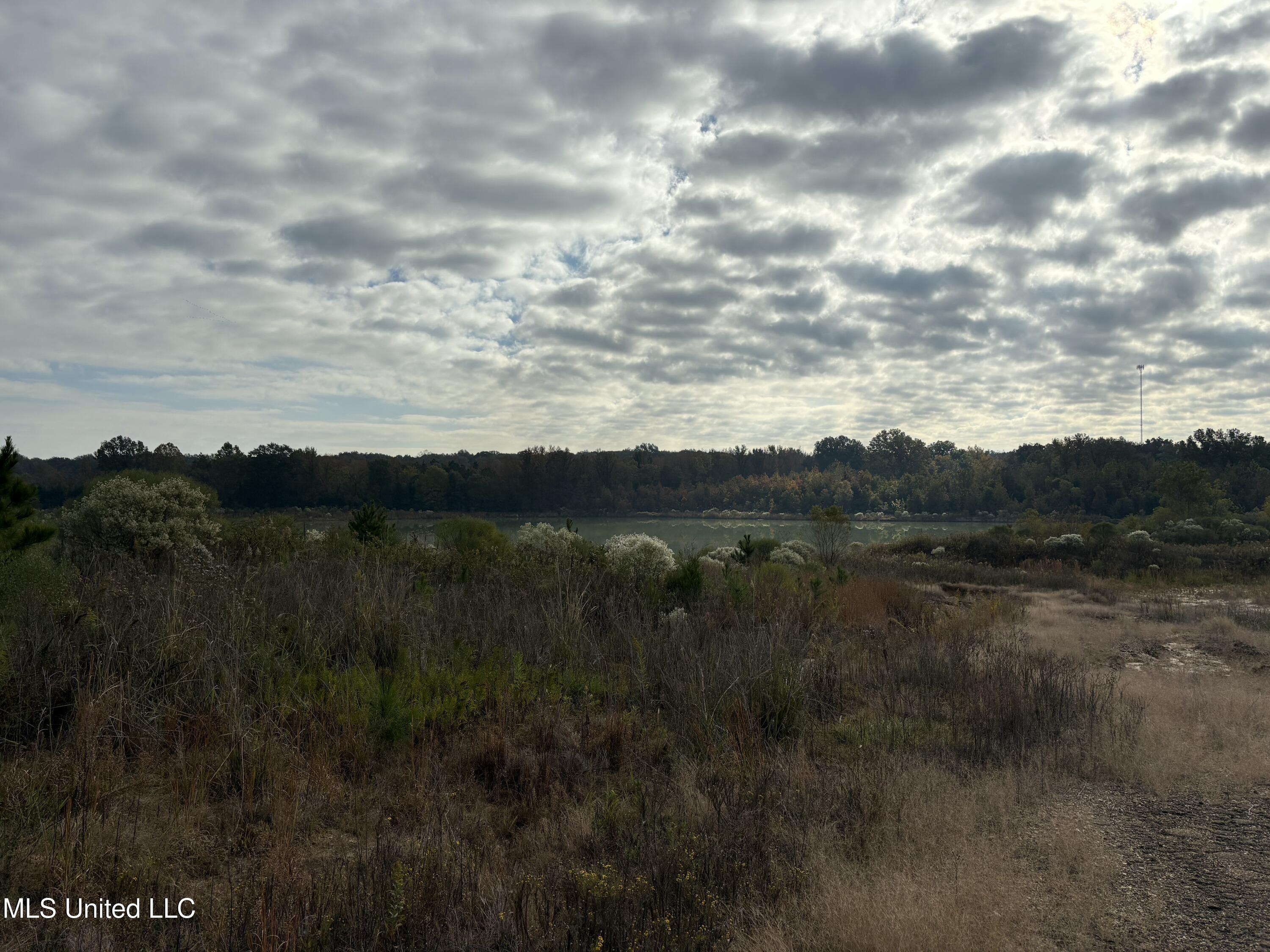 49 Us Jackson, MS 39209 - Photo 17 of 42 IMG_0551