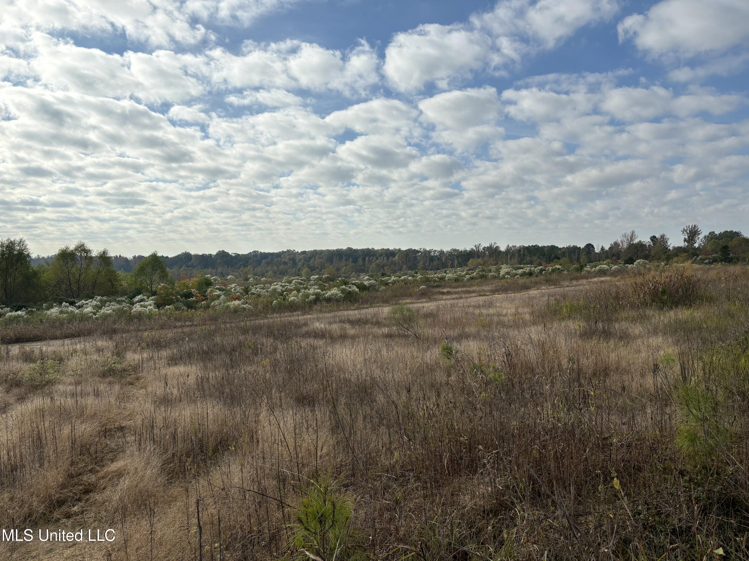 49 Us Jackson, MS 39209 - Photo 20 of 42 IMG_0554