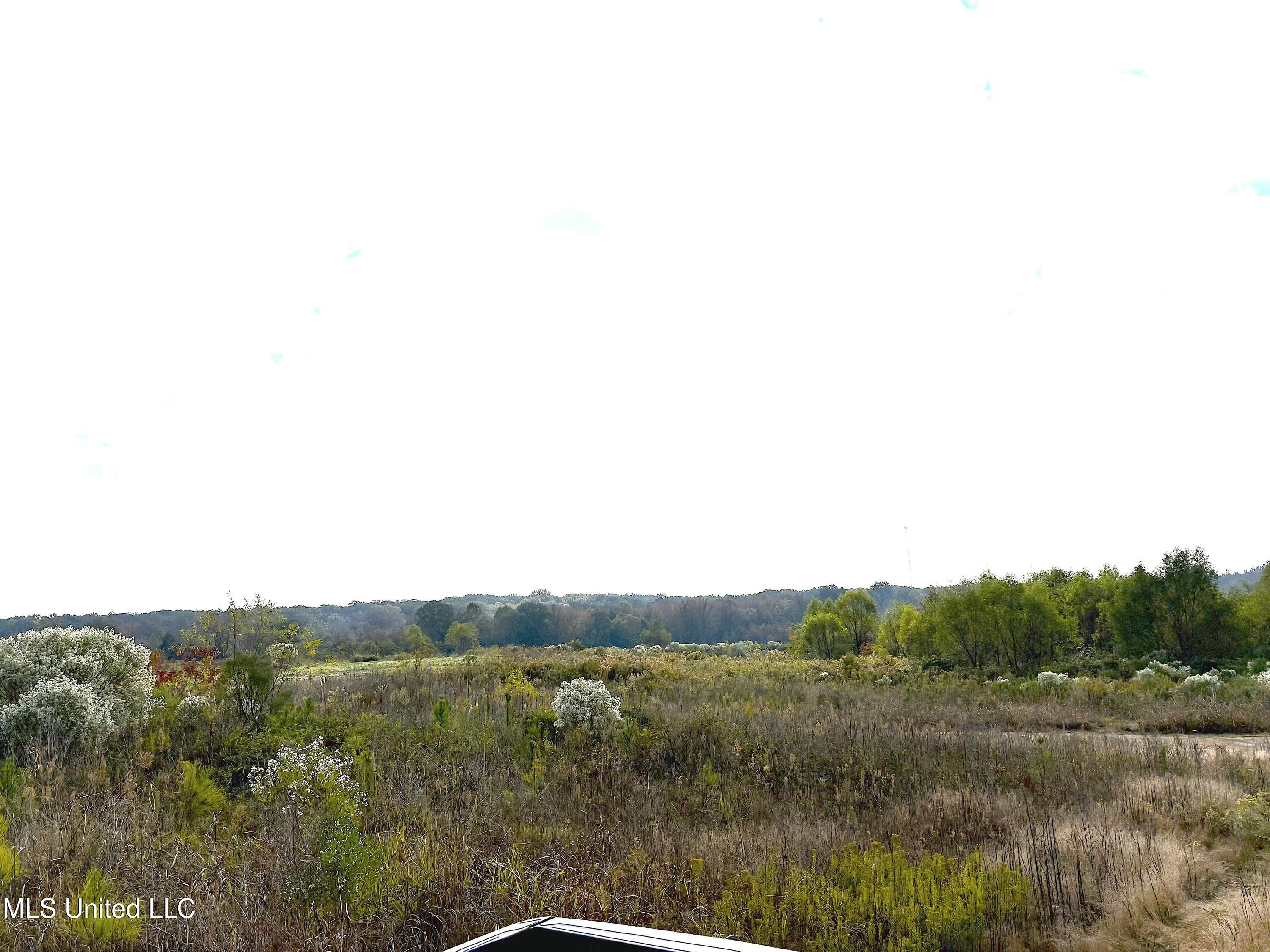 49 Us Jackson, MS 39209 - Photo 21 of 42 IMG_0555