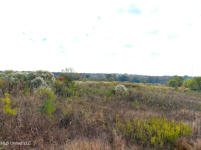 $1,600,000 | 49 Us, Jackson, MS 39209