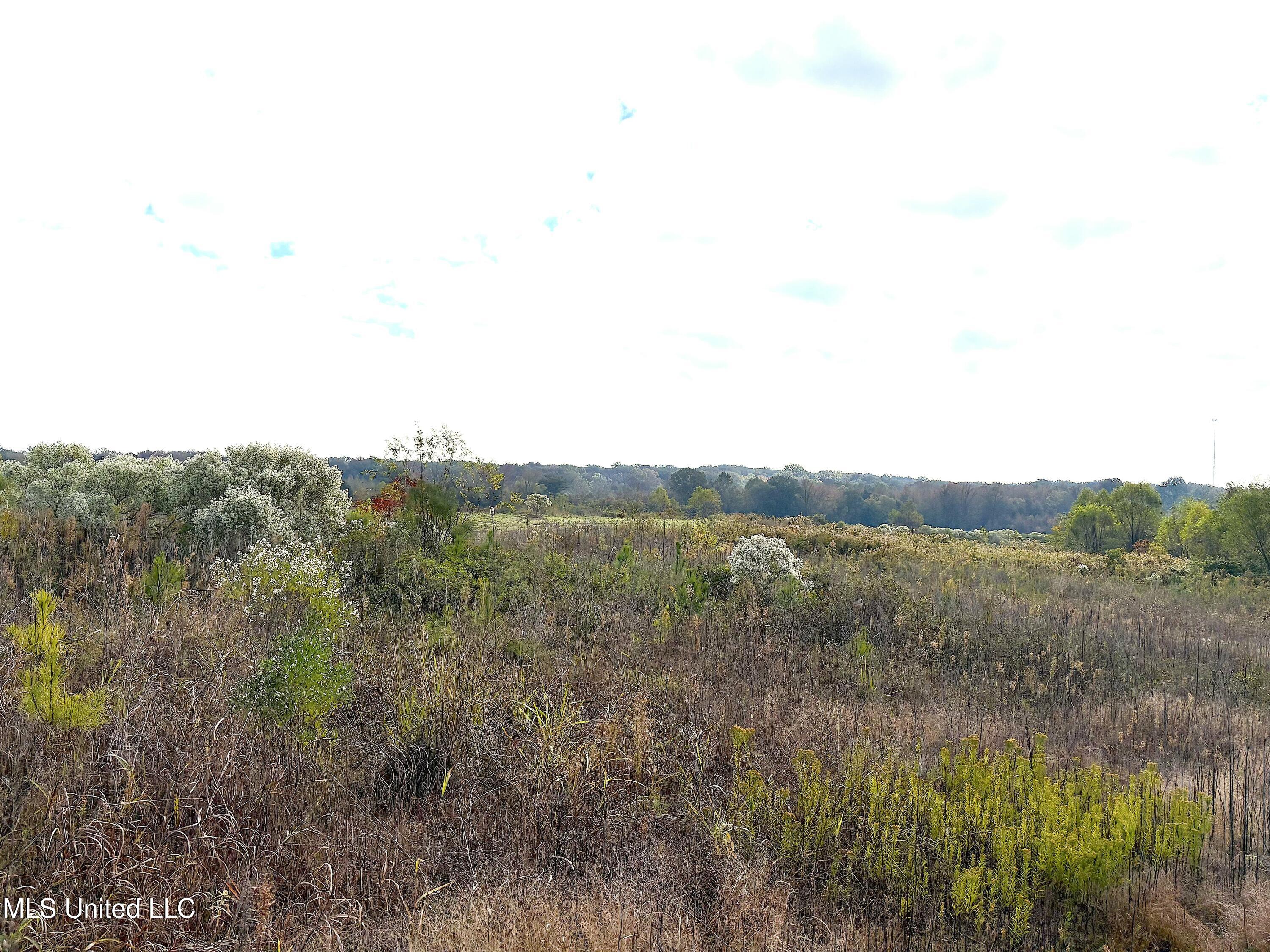 49 Us Jackson, MS 39209 - Photo 22 of 42 IMG_0556