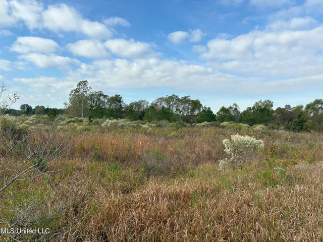 $1,600,000 | 49 Us, Jackson, MS 39209