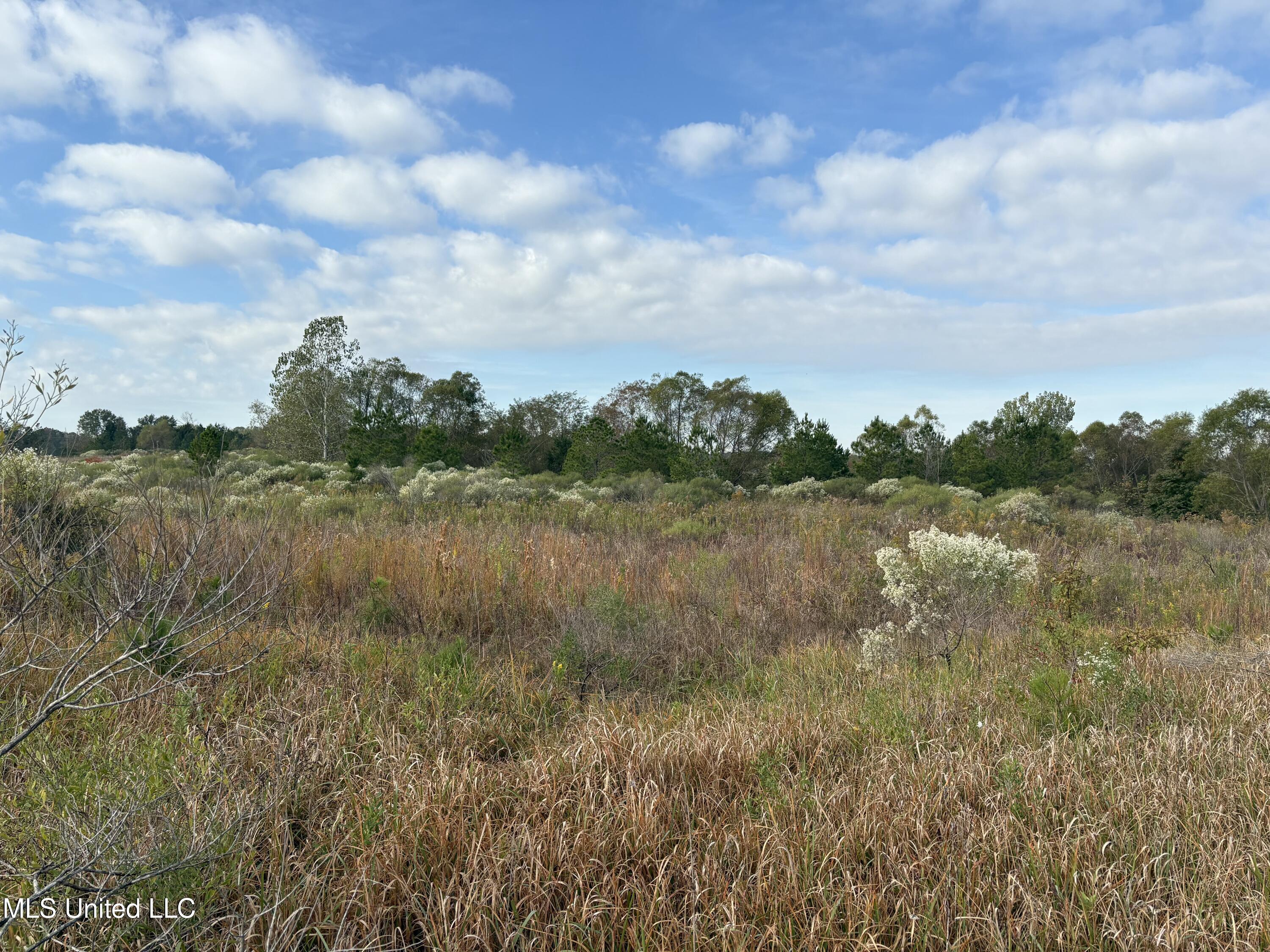 49 Us Jackson, MS 39209 - Photo 23 of 42 IMG_0557