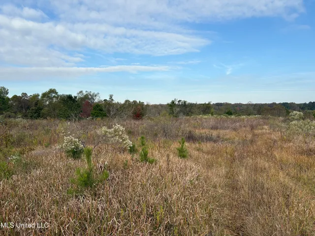 $1,600,000 | 49 Us, Jackson, MS 39209