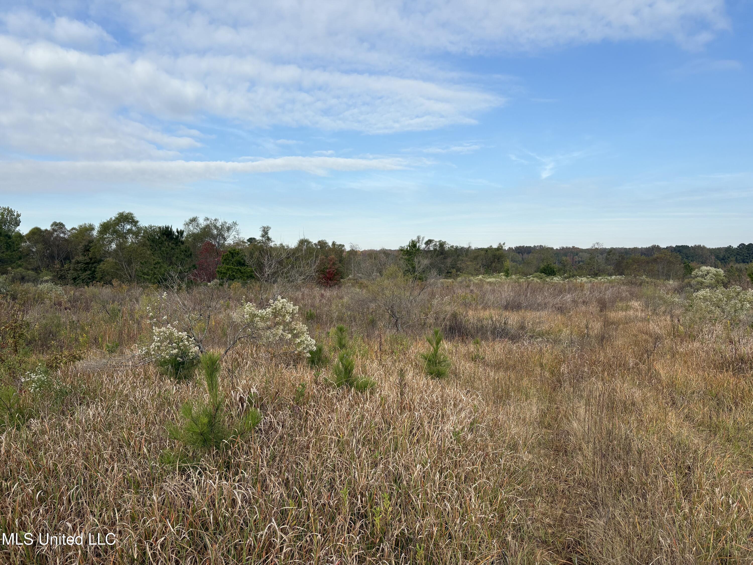 49 Us Jackson, MS 39209 - Photo 24 of 42 IMG_0558