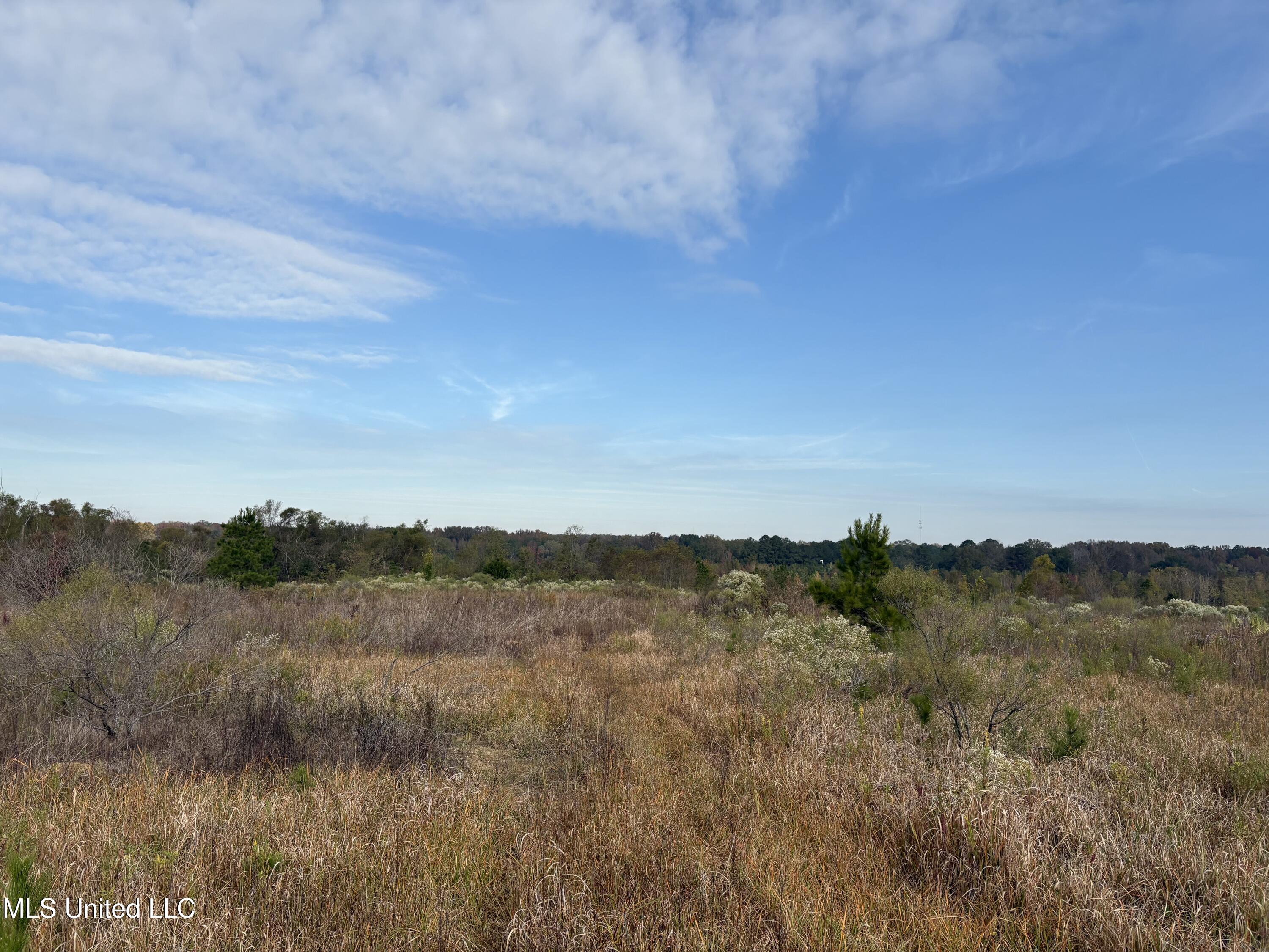 49 Us Jackson, MS 39209 - Photo 26 of 42 IMG_0560