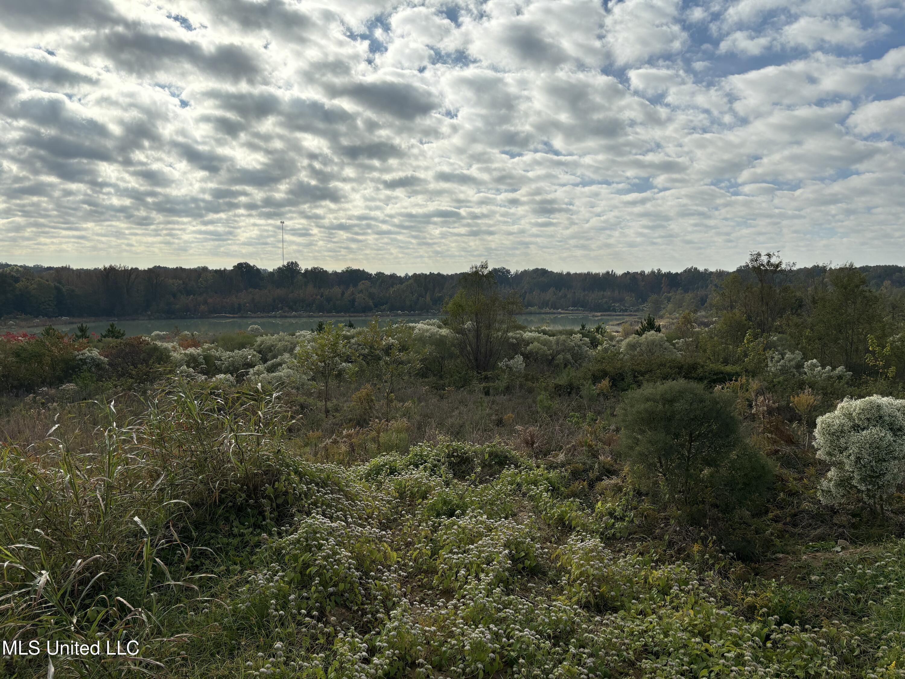 49 Us Jackson, MS 39209 - Photo 27 of 42 IMG_0561