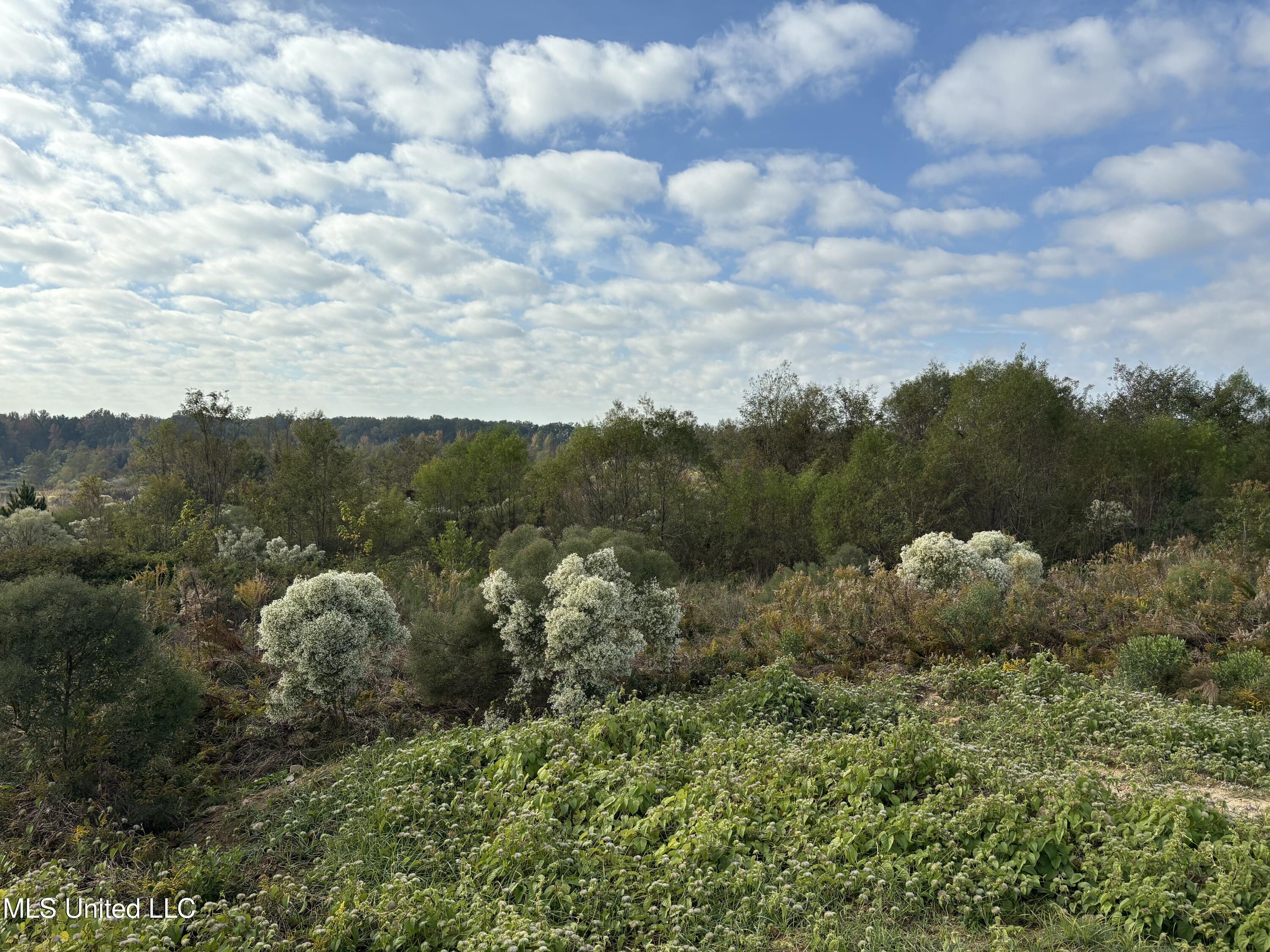 49 Us Jackson, MS 39209 - Photo 28 of 42 IMG_0562