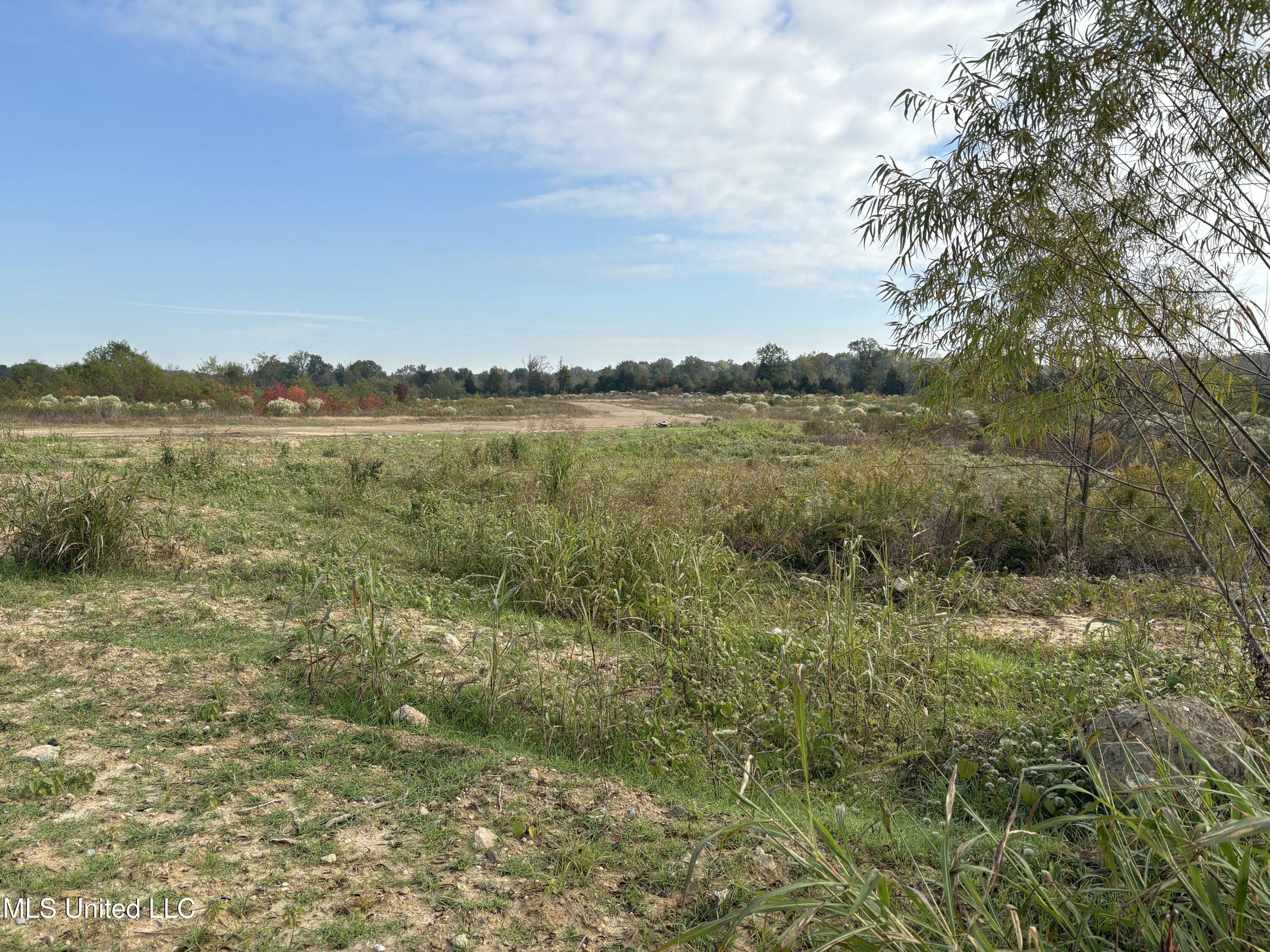 49 Us Jackson, MS 39209 - Photo 30 of 42 IMG_0564