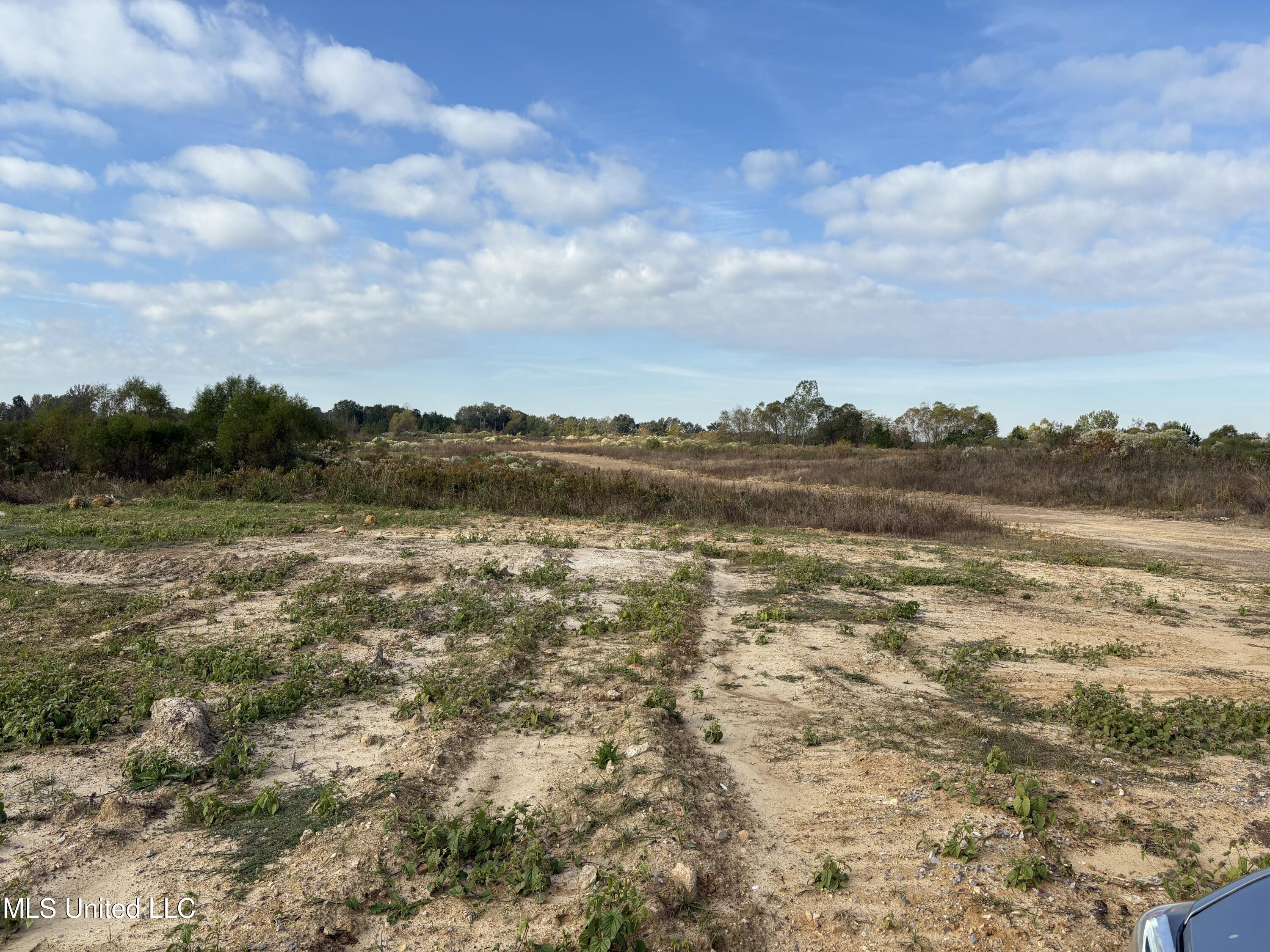 49 Us Jackson, MS 39209 - Photo 32 of 42 IMG_0566