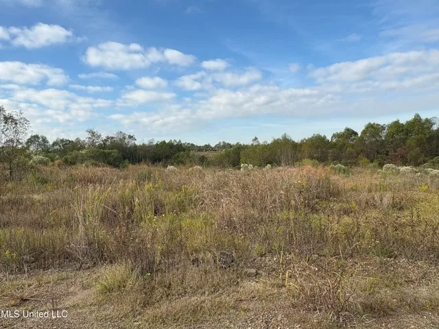 $1,600,000 | 49 Us, Jackson, MS 39209