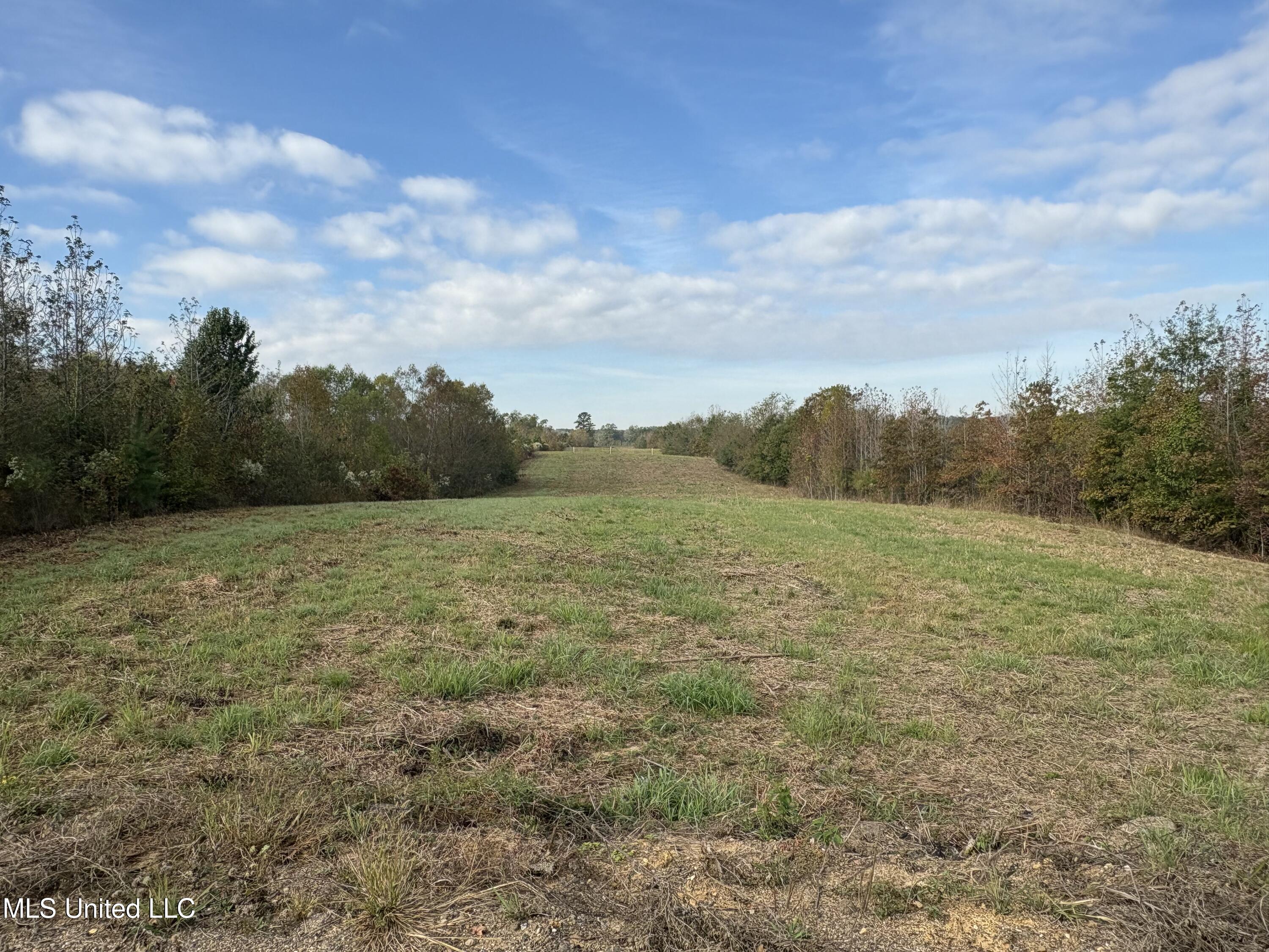 49 Us Jackson, MS 39209 - Photo 34 of 42 IMG_0569