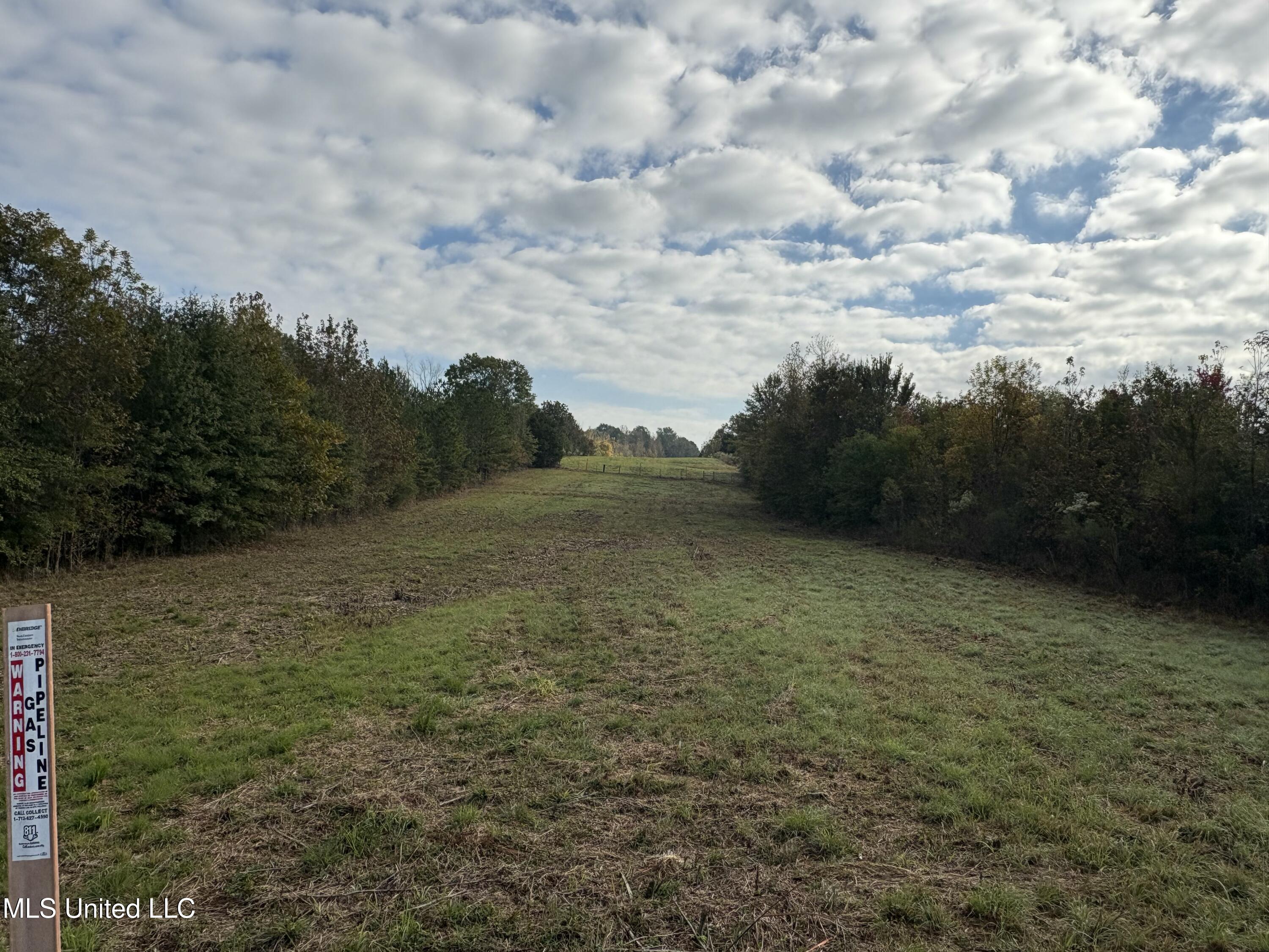 49 Us Jackson, MS 39209 - Photo 35 of 42 IMG_0570