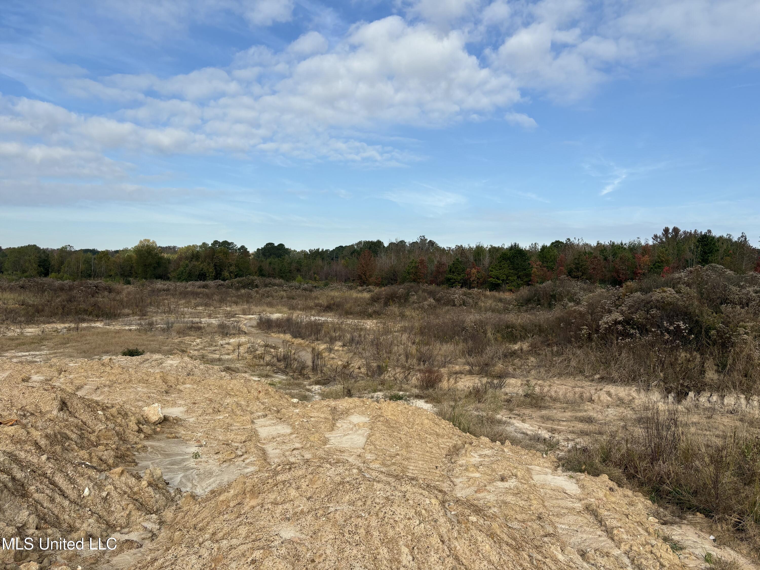 49 Us Jackson, MS 39209 - Photo 39 of 42 IMG_0575