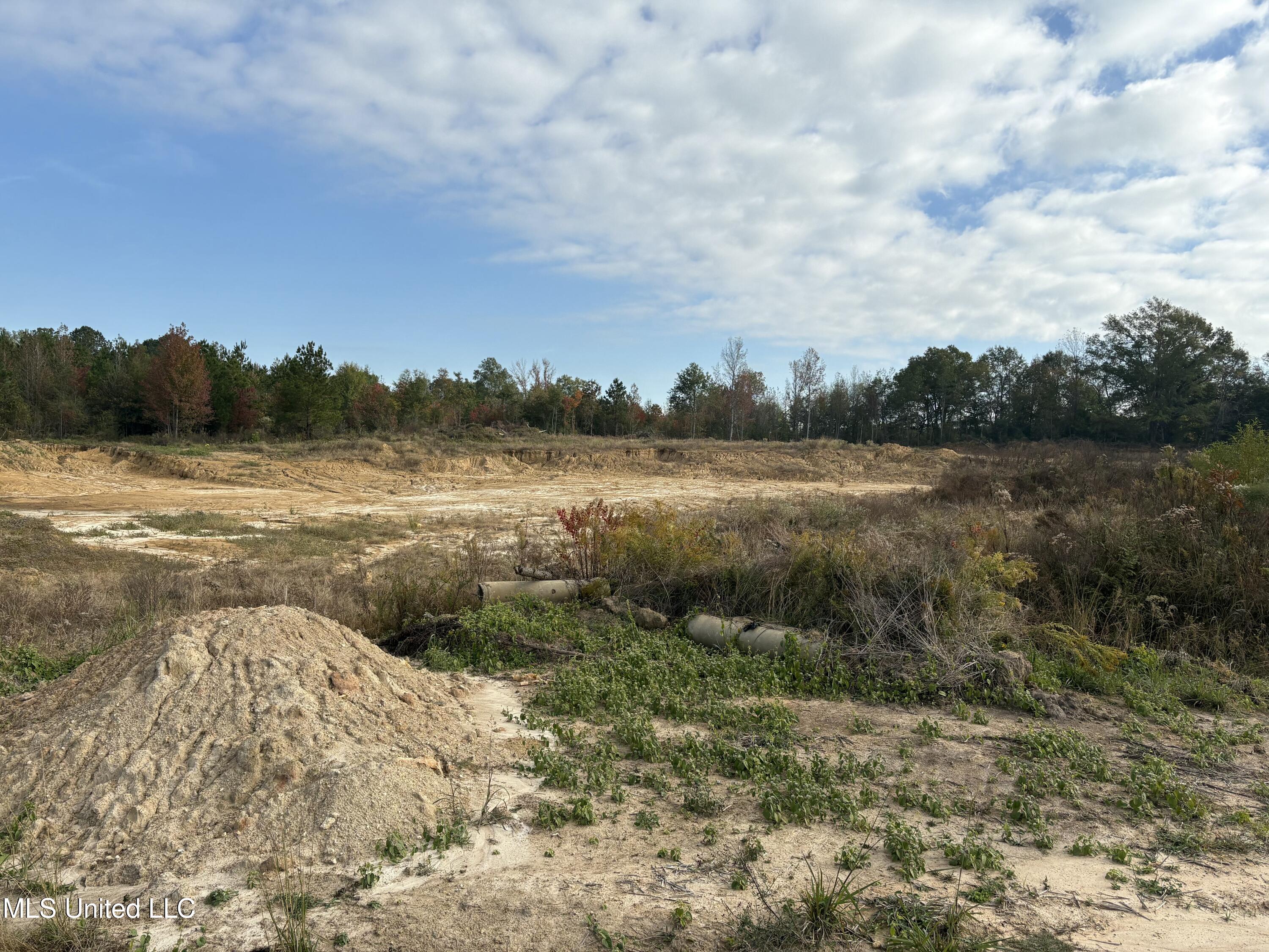 49 Us Jackson, MS 39209 - Photo 40 of 42 IMG_0576