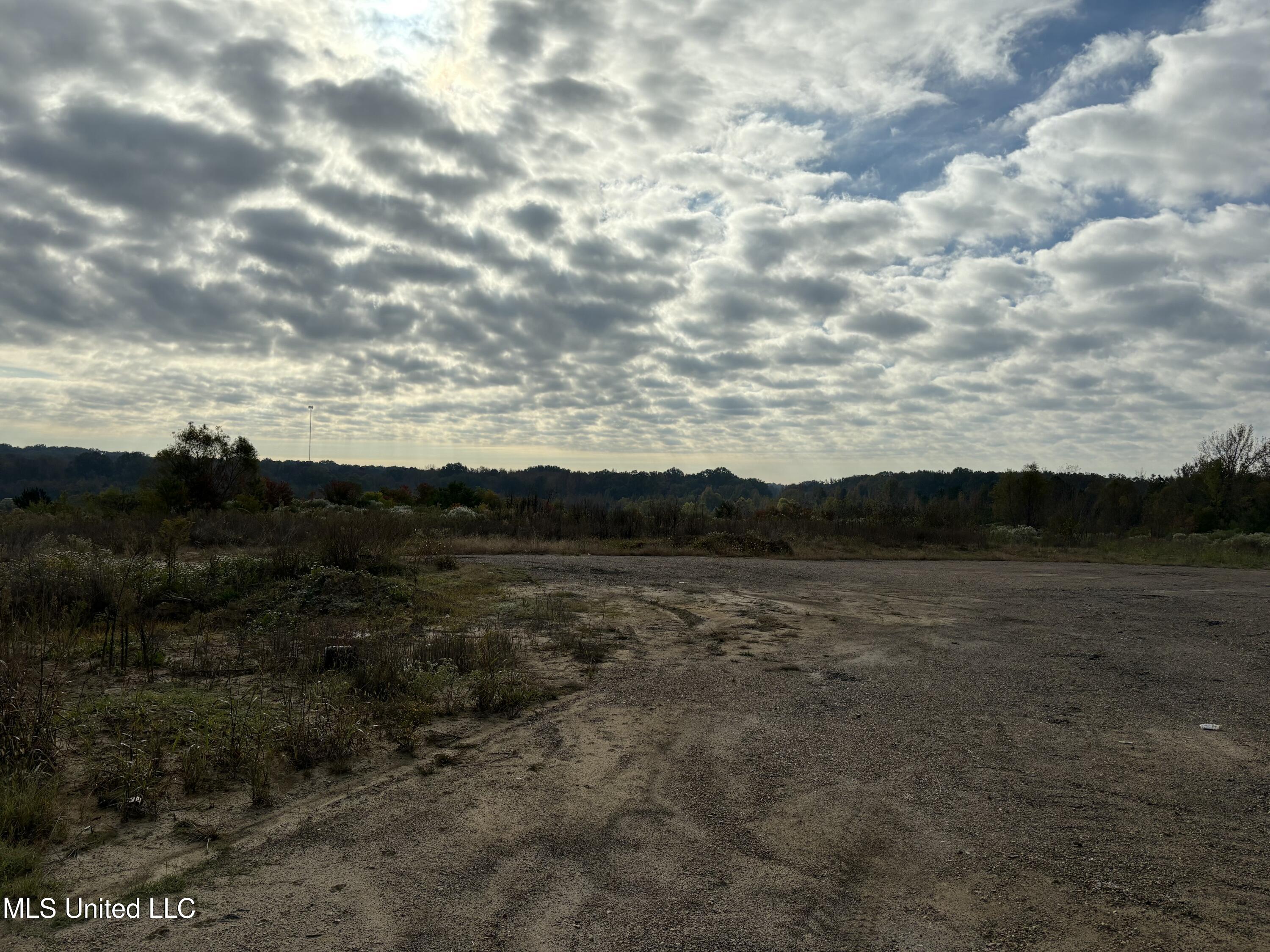 49 Us Jackson, MS 39209 - Photo 4 of 42 IMG_0538