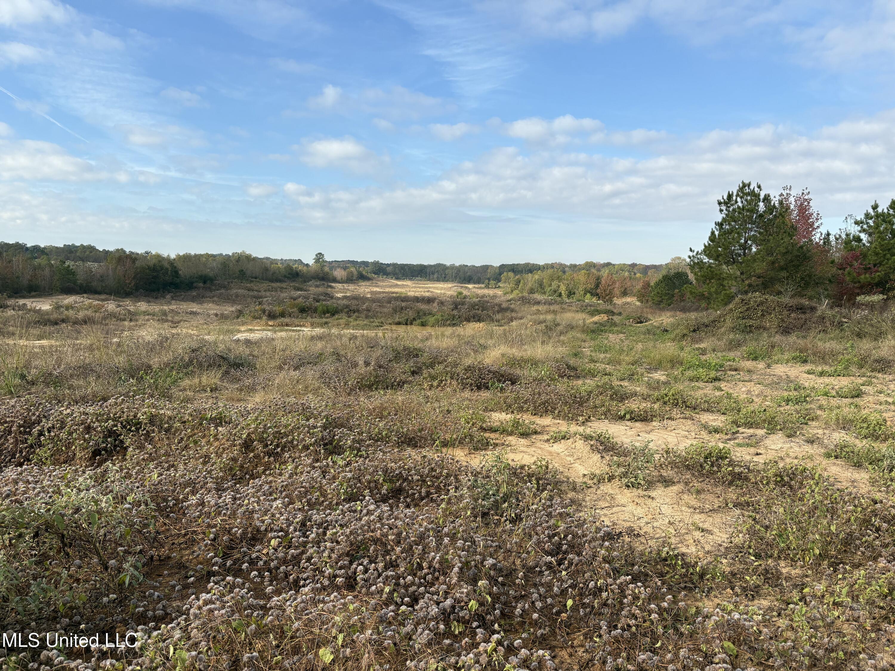 49 Us Jackson, MS 39209 - Photo 41 of 42 IMG_0577