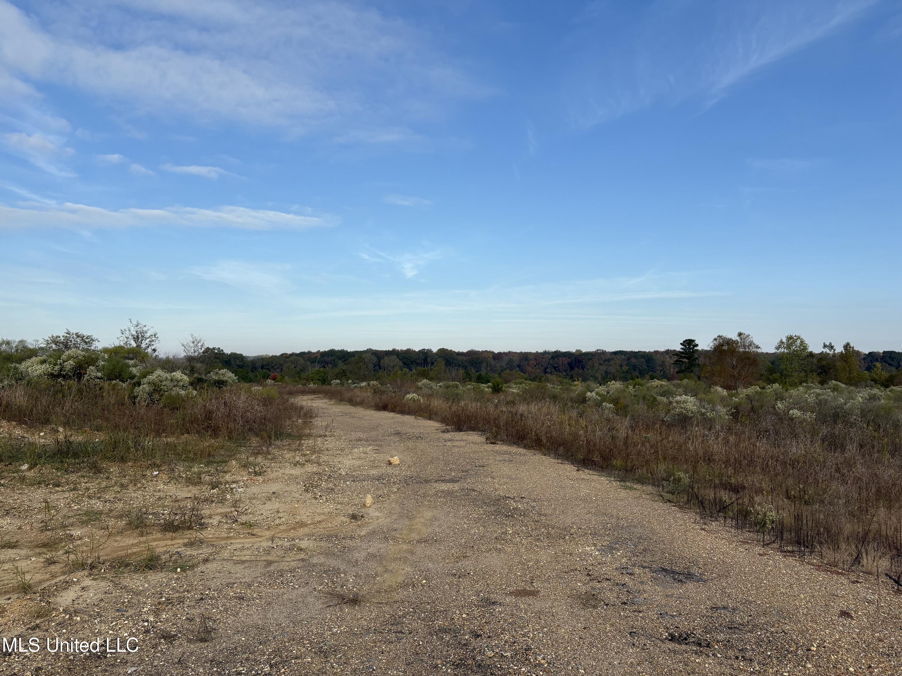 49 Us Jackson, MS 39209 - Photo 5 of 42 IMG_0539