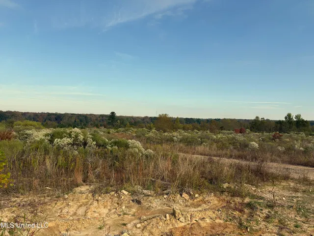 $1,600,000 | 49 Us, Jackson, MS 39209