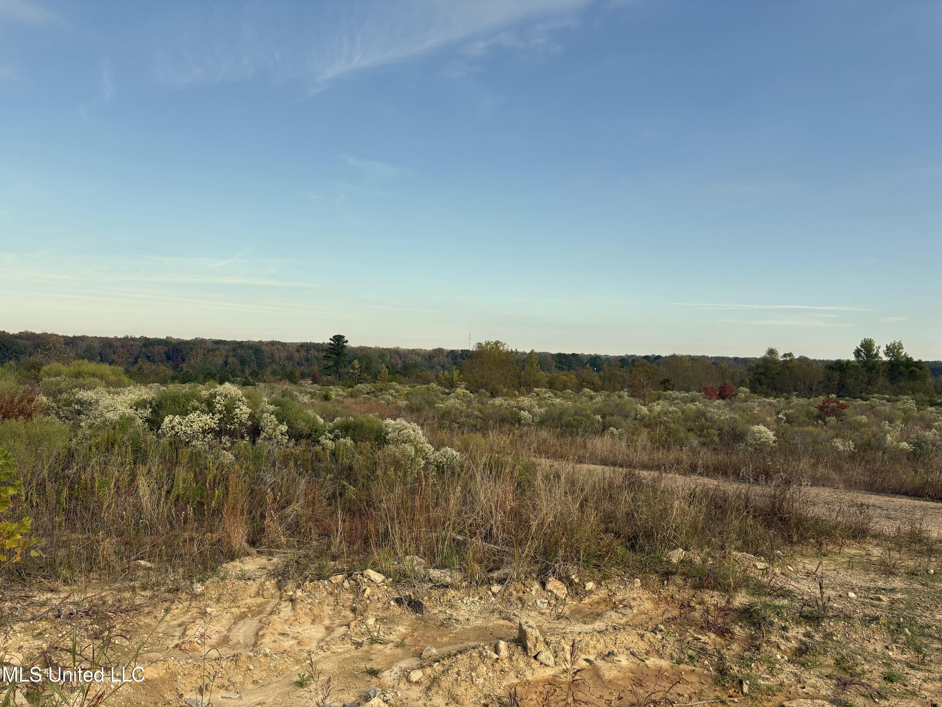 49 Us Jackson, MS 39209 - Photo 6 of 42 IMG_0540