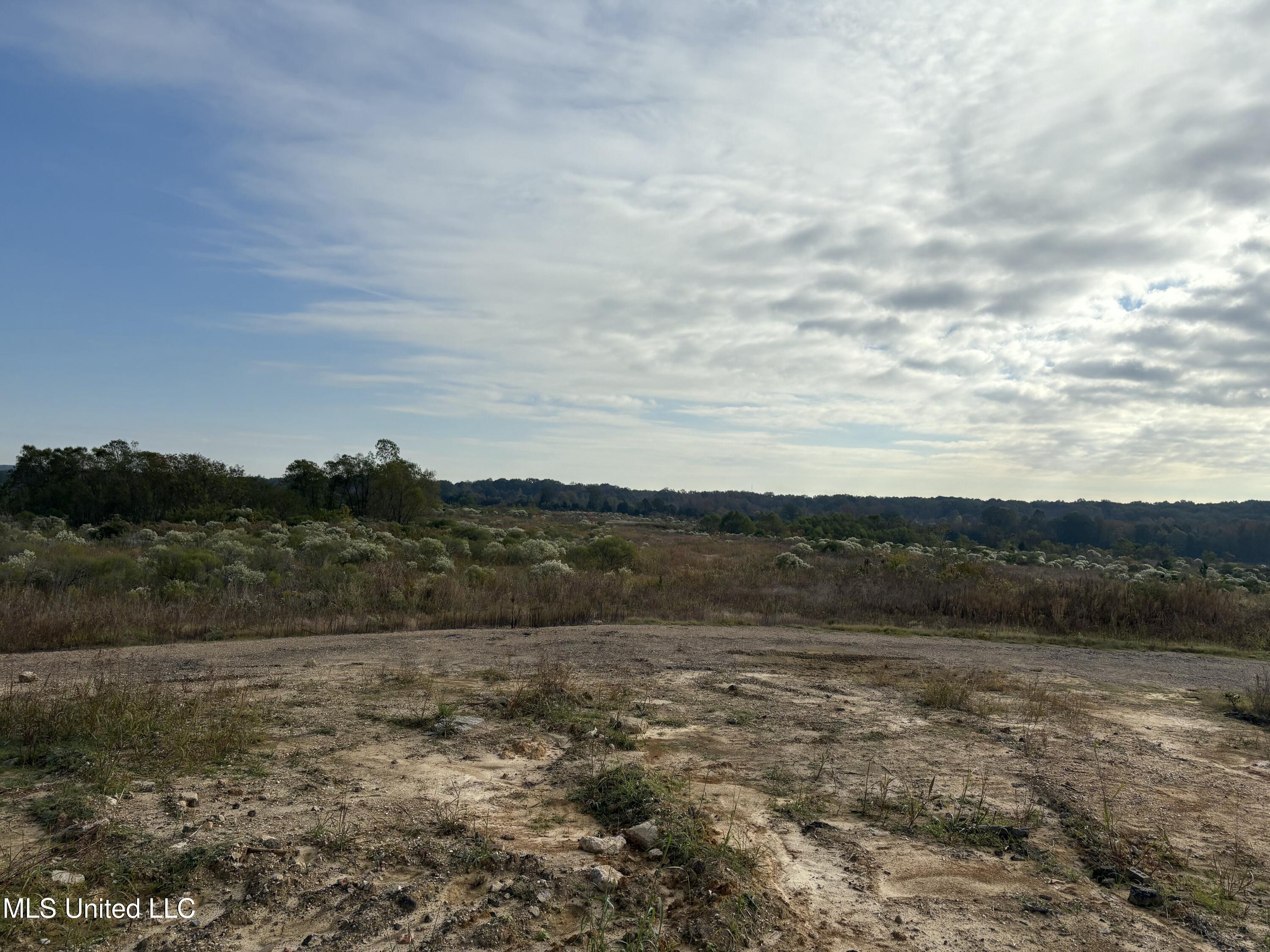 49 Us Jackson, MS 39209 - Photo 8 of 42 IMG_0542