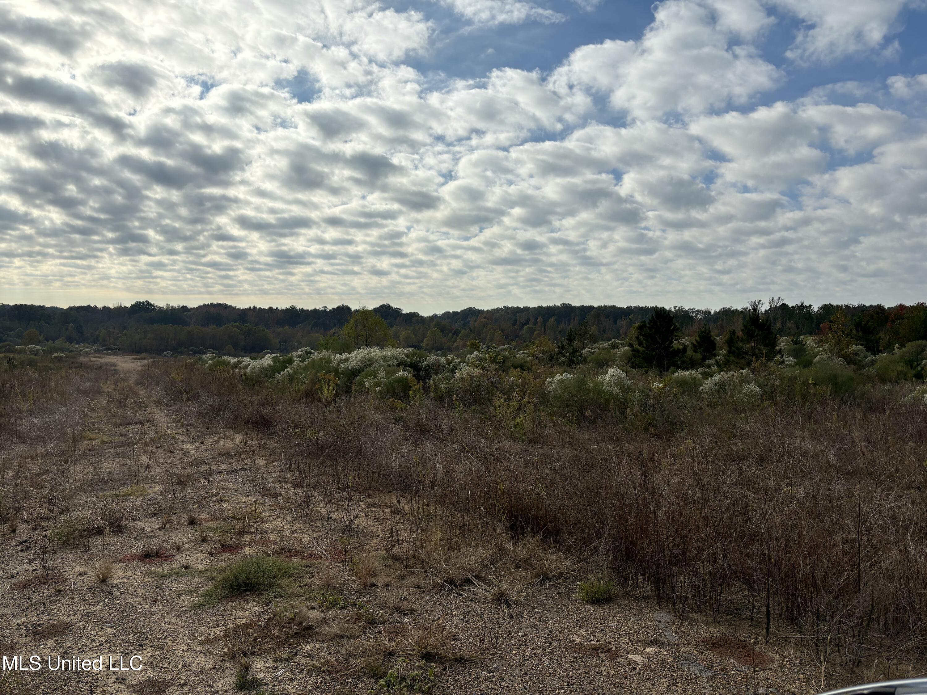 49 Us Jackson, MS 39209 - Photo 10 of 42 IMG_0544