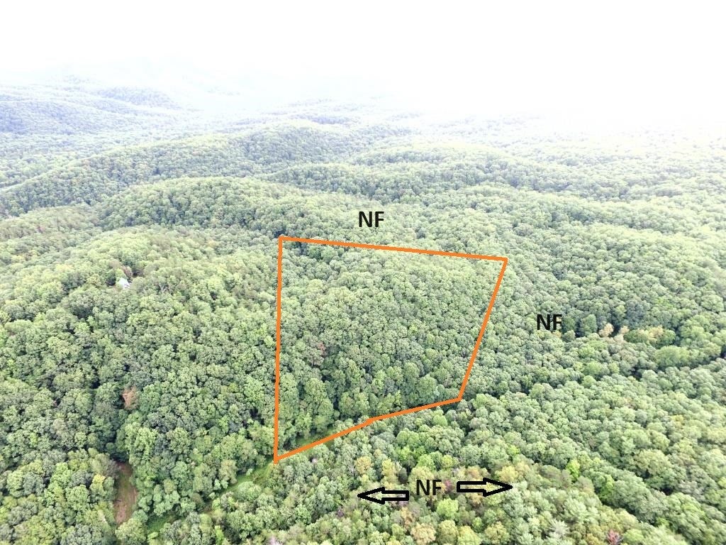 2543 Crawfish Road, Unit 2A & 4A Rural Retreat, VA 24368 - Photo 3 of 34 Gallery Image 3