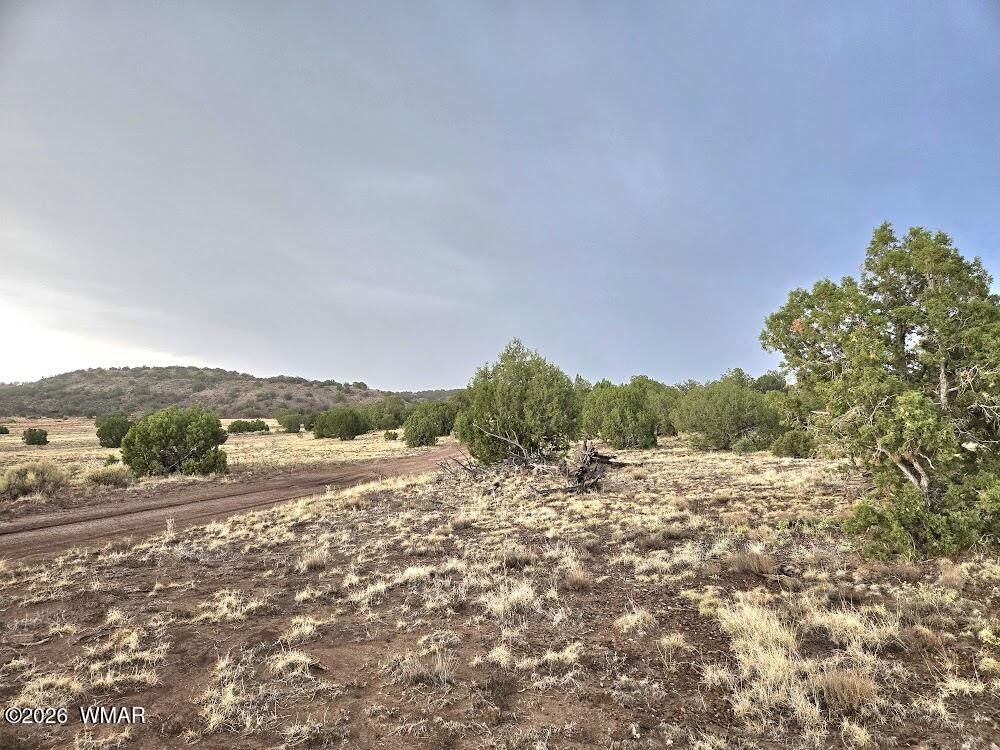 Lot 9 Pinon Valley Ranch Concho, AZ 85924 - Photo 7 of 12 a view of mountain view with mountain view