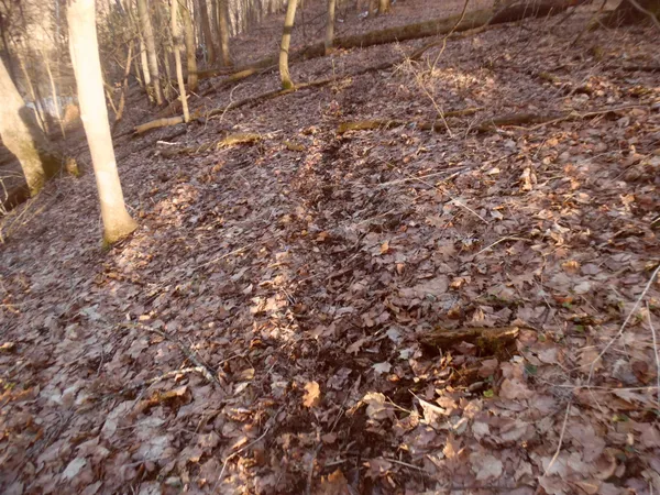 $610,000 | S7165 Lake Hillpoint Wi 53937, Hillpoint, WI 53937