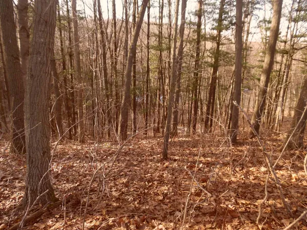 $610,000 | S7165 Lake Hillpoint Wi 53937, Hillpoint, WI 53937