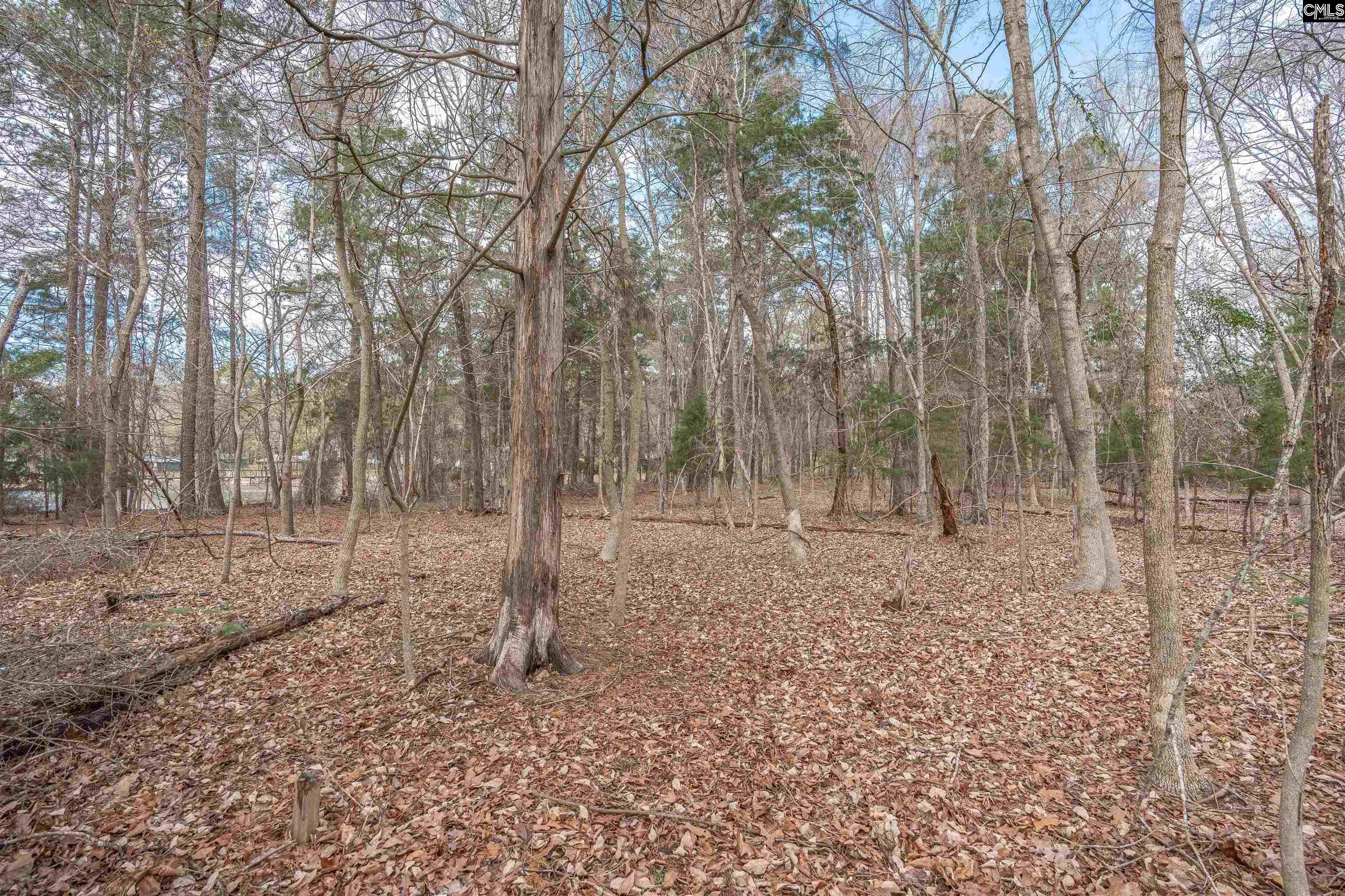 0 Circle H Woods Road Prosperity, SC 29127 - Photo 26 of 28