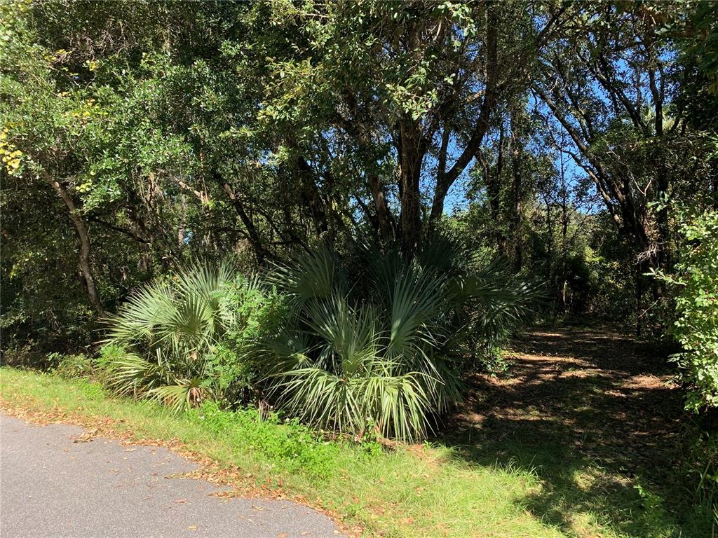 12 Oak Lane Way Ocala, FL 34472 - Photo 1 of 1
