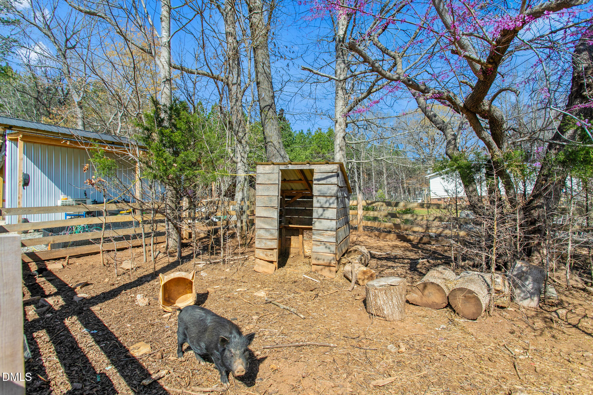 578 Brintle Road Reidsville, NC 27320 - Photo 35 of 37 a view of a backyard with sitting area