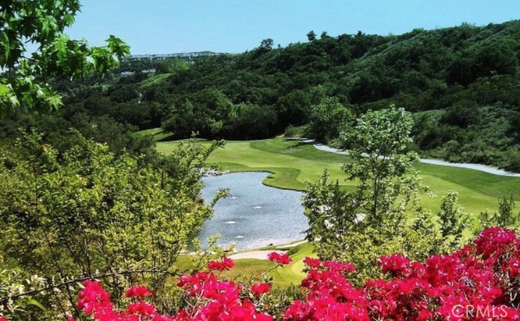 6 Beaconsfield Rancho Santa Margarita, CA 92679 - Photo 46 of 51 Dove Canyon Golf course view