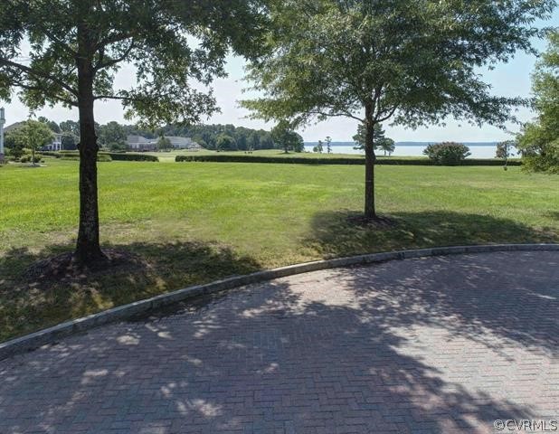 1245 Two Rivers Point Williamsburg, VA 23185 - Photo 5 of 25 a view of a yard with a tree