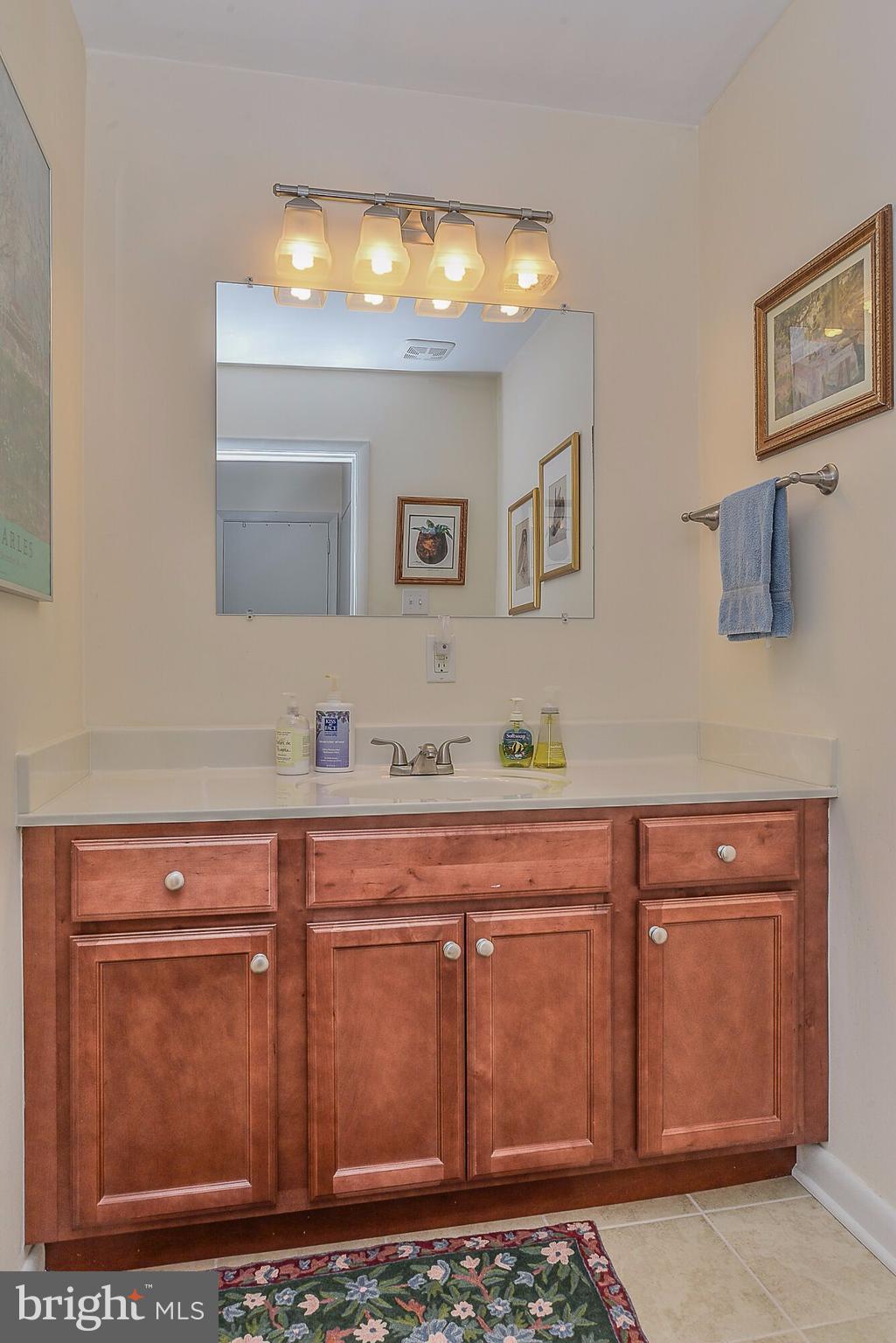 11634 Newbridge Court Reston, VA 20191 - Photo 21 of 25 Bath