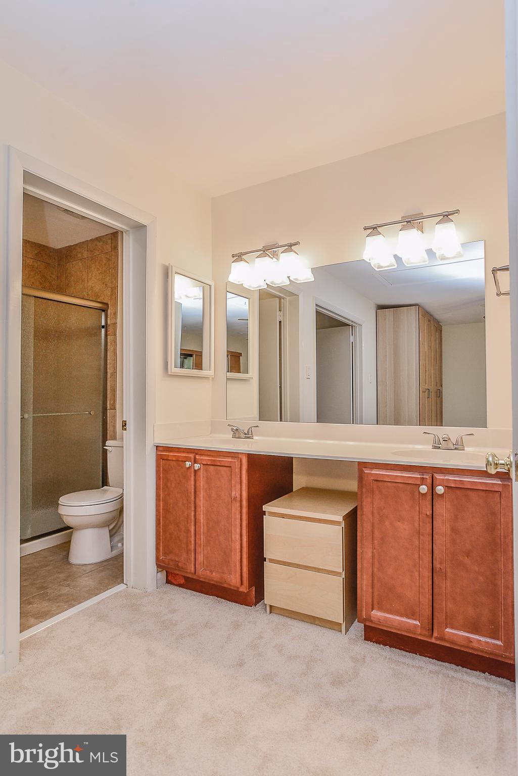 11634 Newbridge Court Reston, VA 20191 - Photo 23 of 25 Bath (Master)
