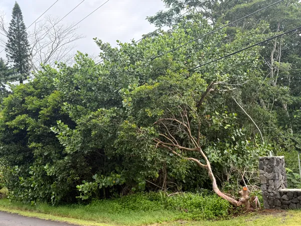 $119,500 | 15-1611 Lot 48 Beach Road, Keaau, HI 96749